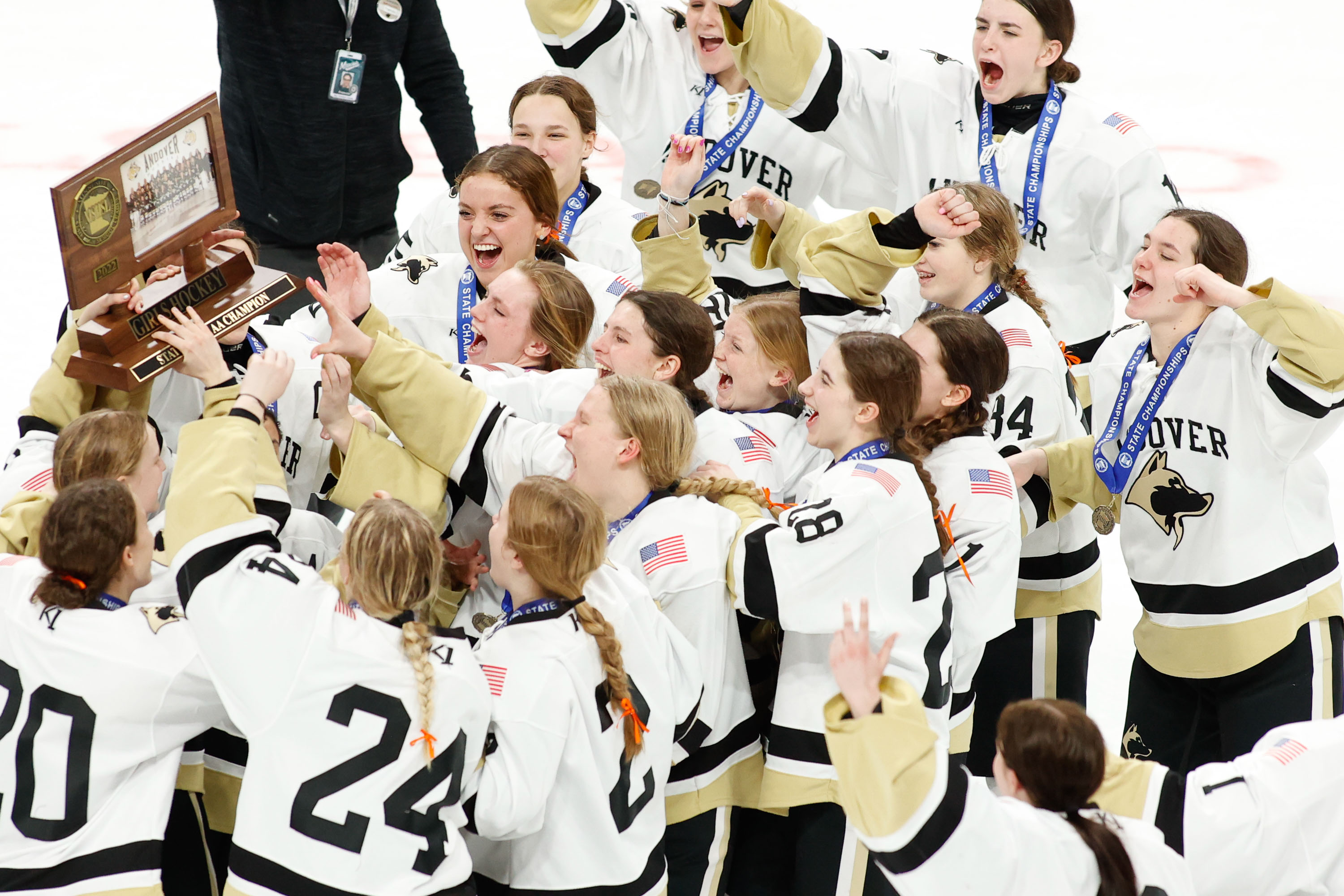 Minnesota girls Class AA section previews: Who can defeat Andover? - Vimarsana News