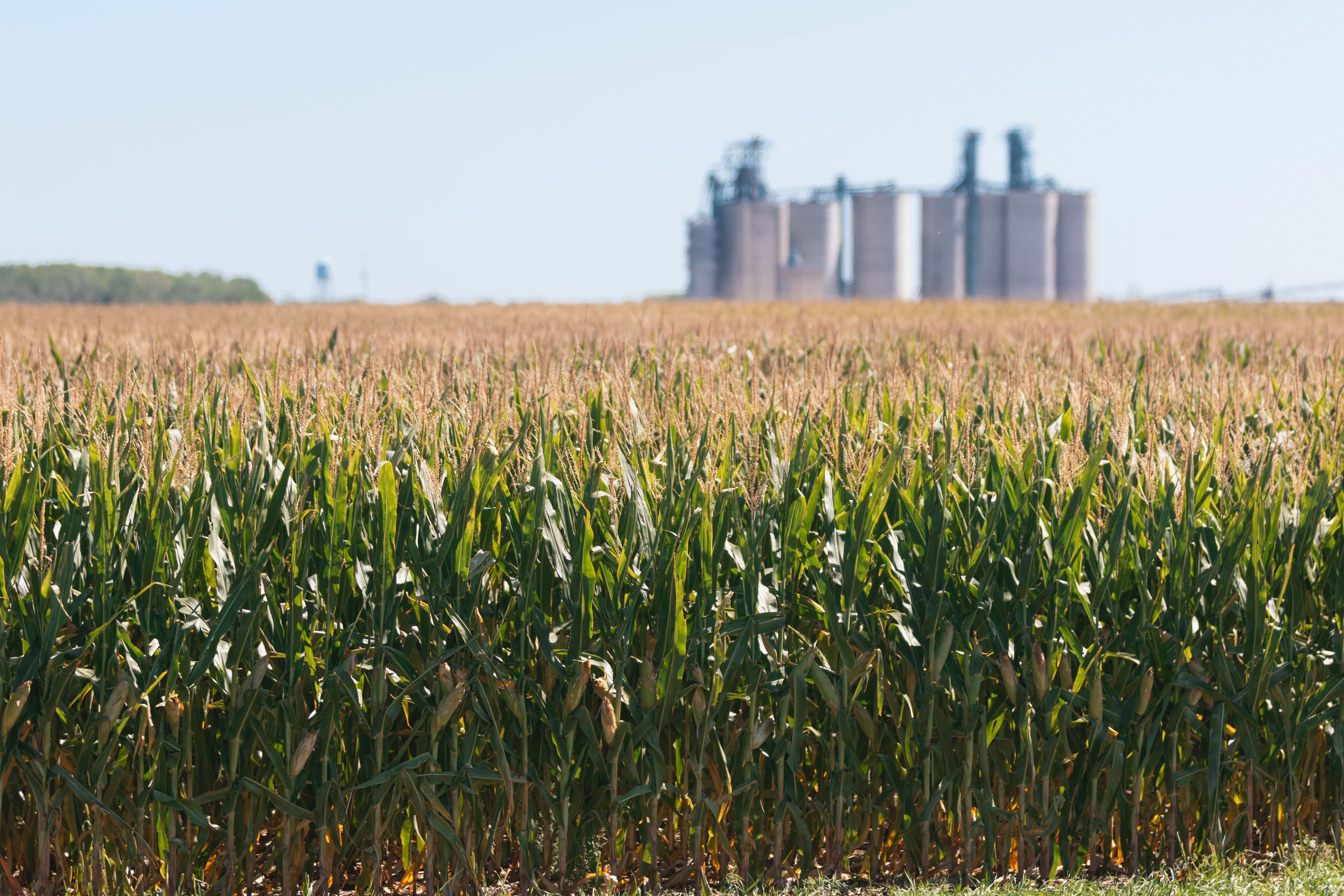 Drought prompts SBA to make available Economic Injury Disaster Loans for 13 South Dakota counties - Vimarsana News