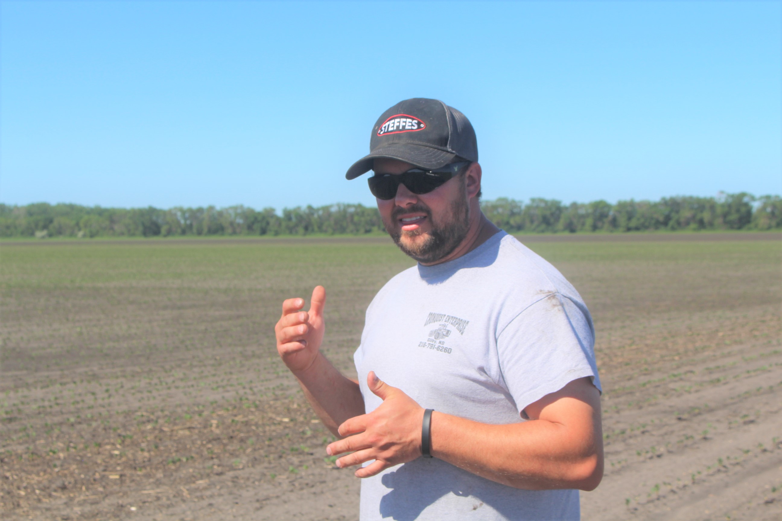 Northeast North Dakota farmer is bully for black beans - Vimarsana News