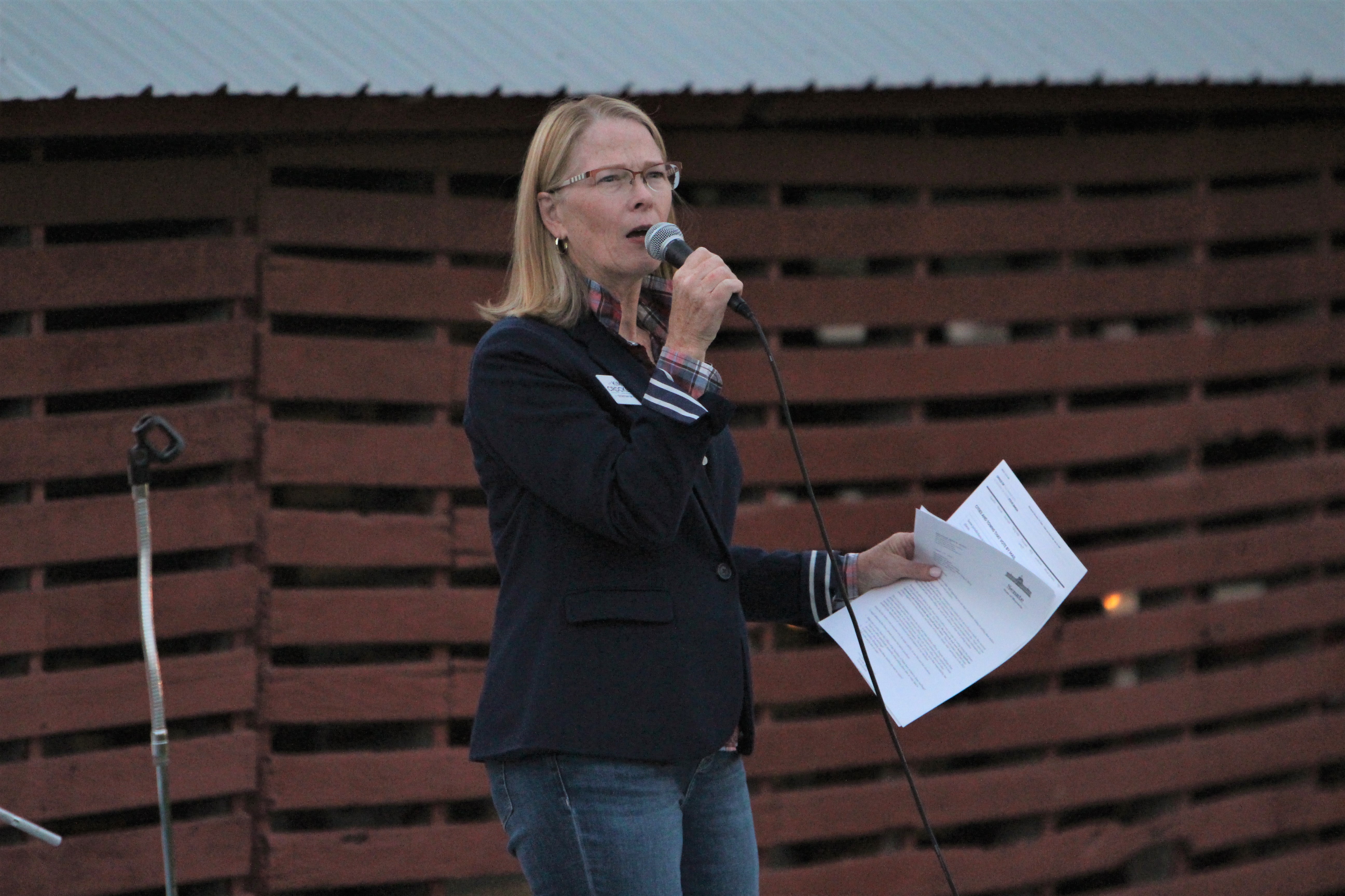 'I think we're common-sense people': Kim Crockett, conservative candidates campaign at Pine Island rally - Vimarsana News