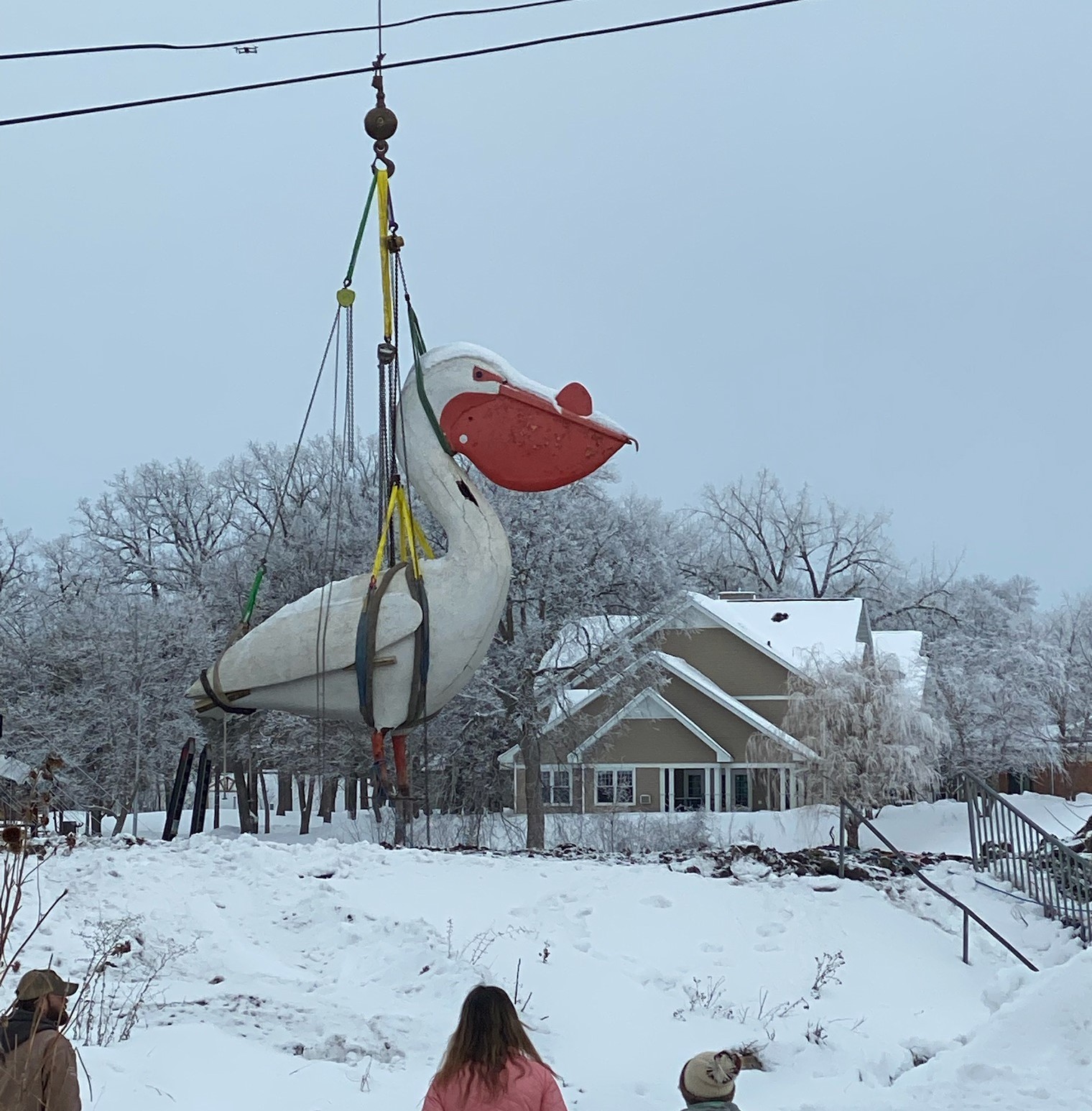 Pelican Pete moved from longtime perch while dam is replaced with rapids - Vimarsana News