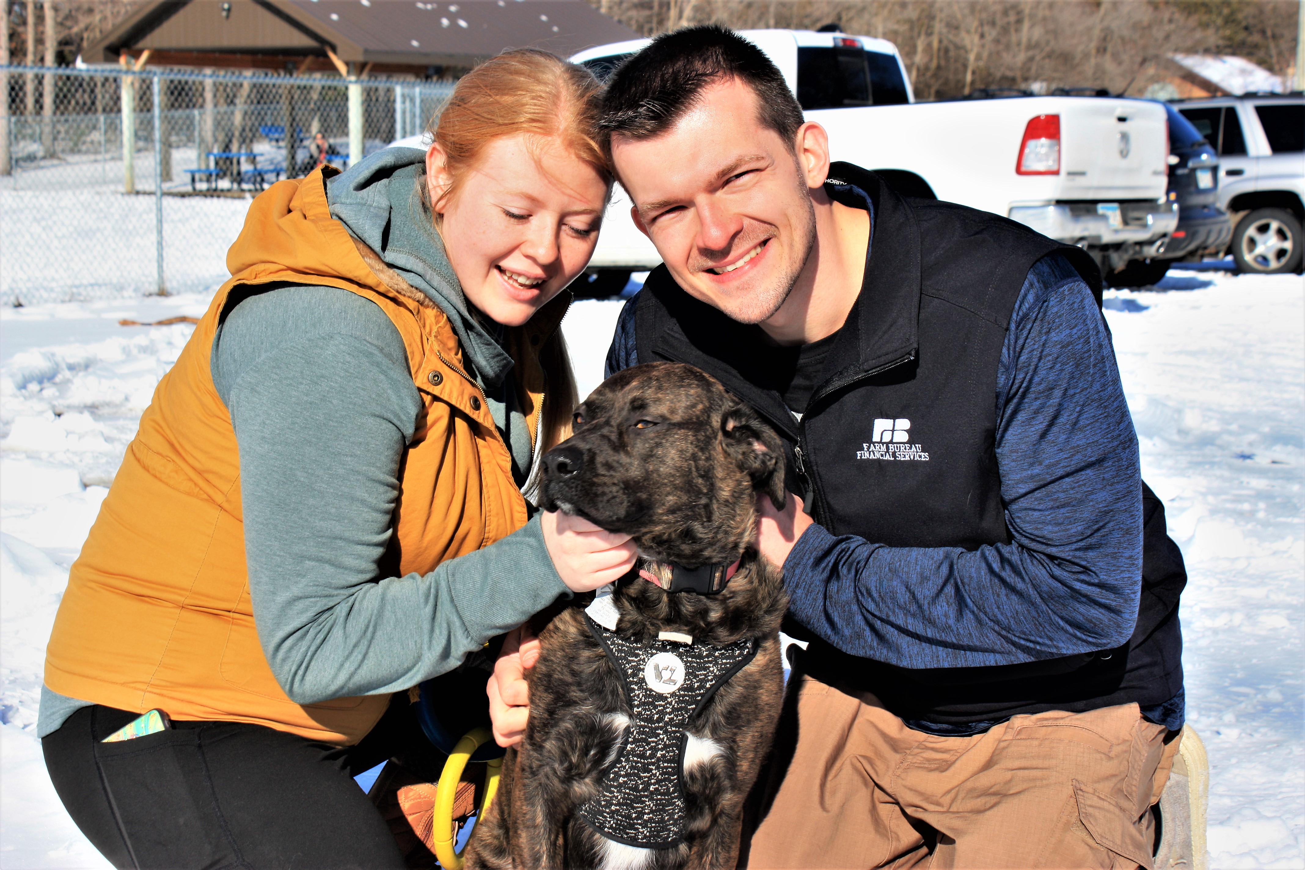 Perham rescue pup is famous with release of Busch brew featuring her face - Vimarsana News