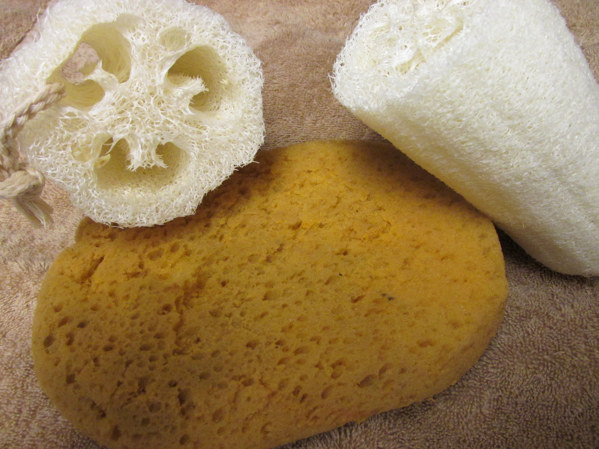 Enjoy the world of sponges and luffas - Vimarsana News