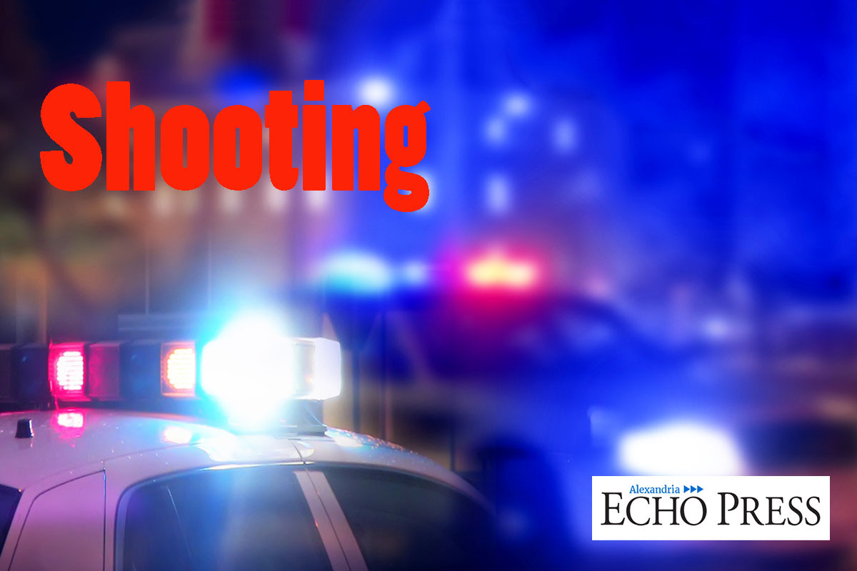 Former Alexandria woman dies in Wadena murder-suicide - Vimarsana News