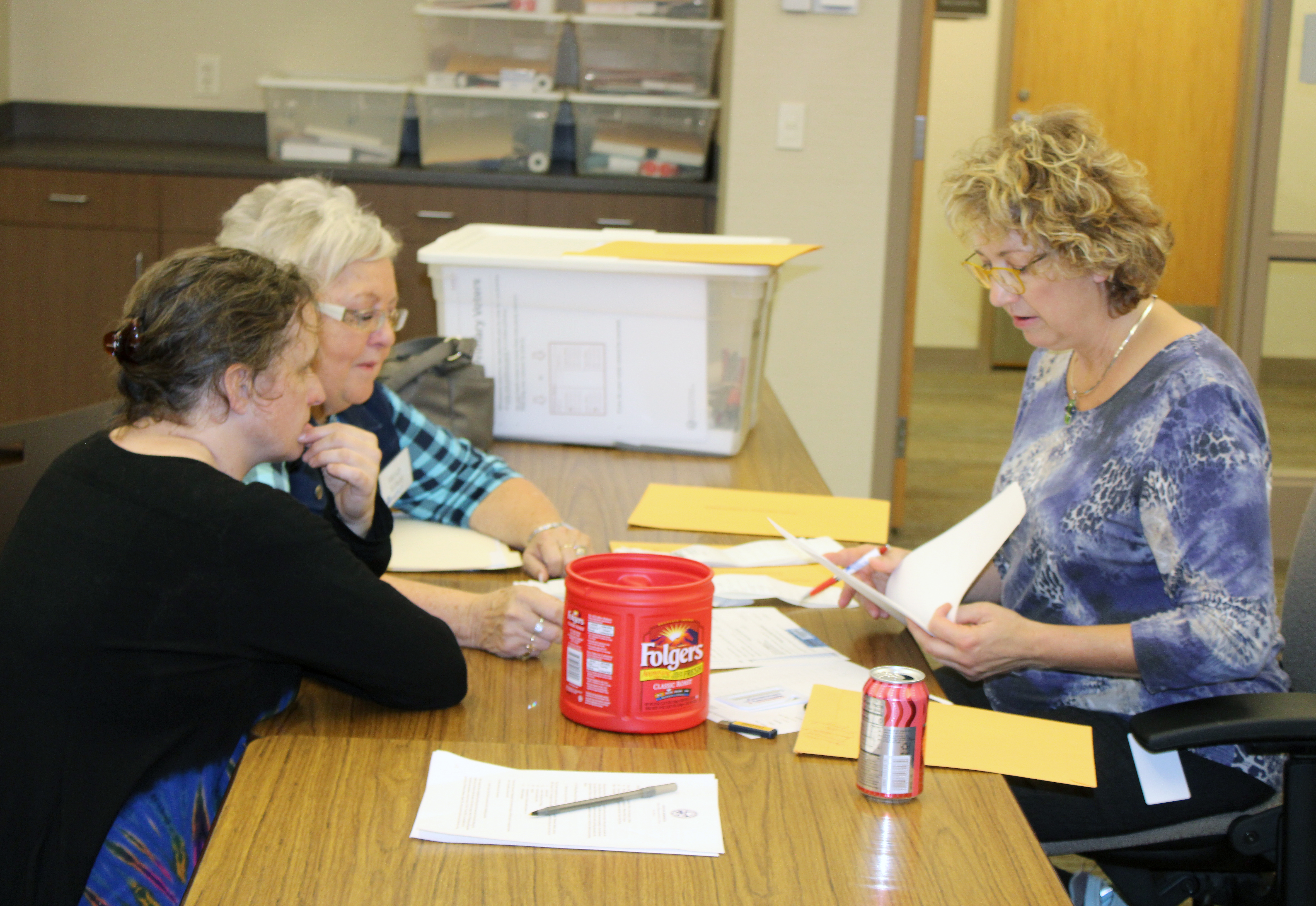 Election judges report great turnout, more young voters in Heartland Lakes Area - Vimarsana News
