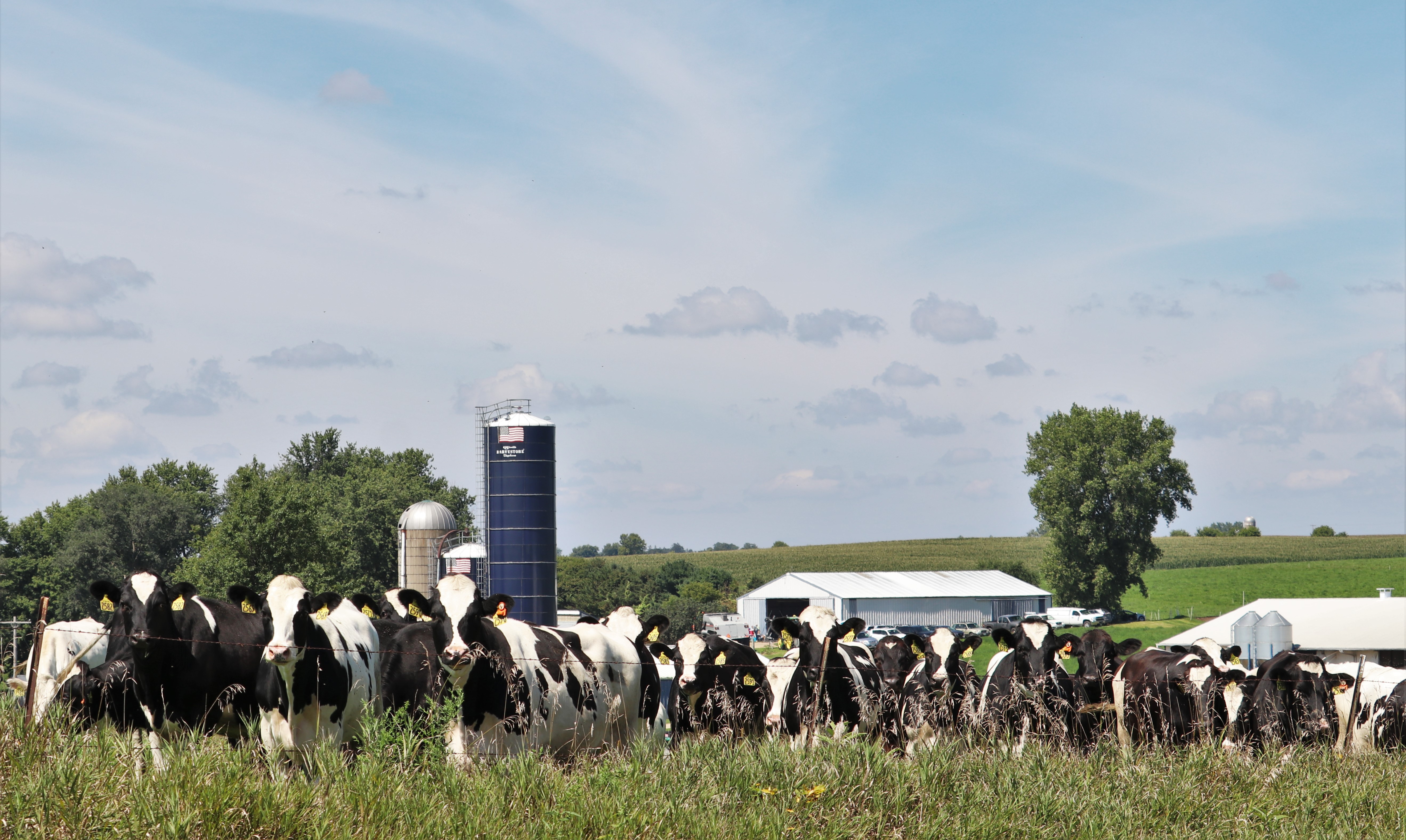 Southeast Minnesota farms learning the route to building biodiverse compost - Vimarsana News
