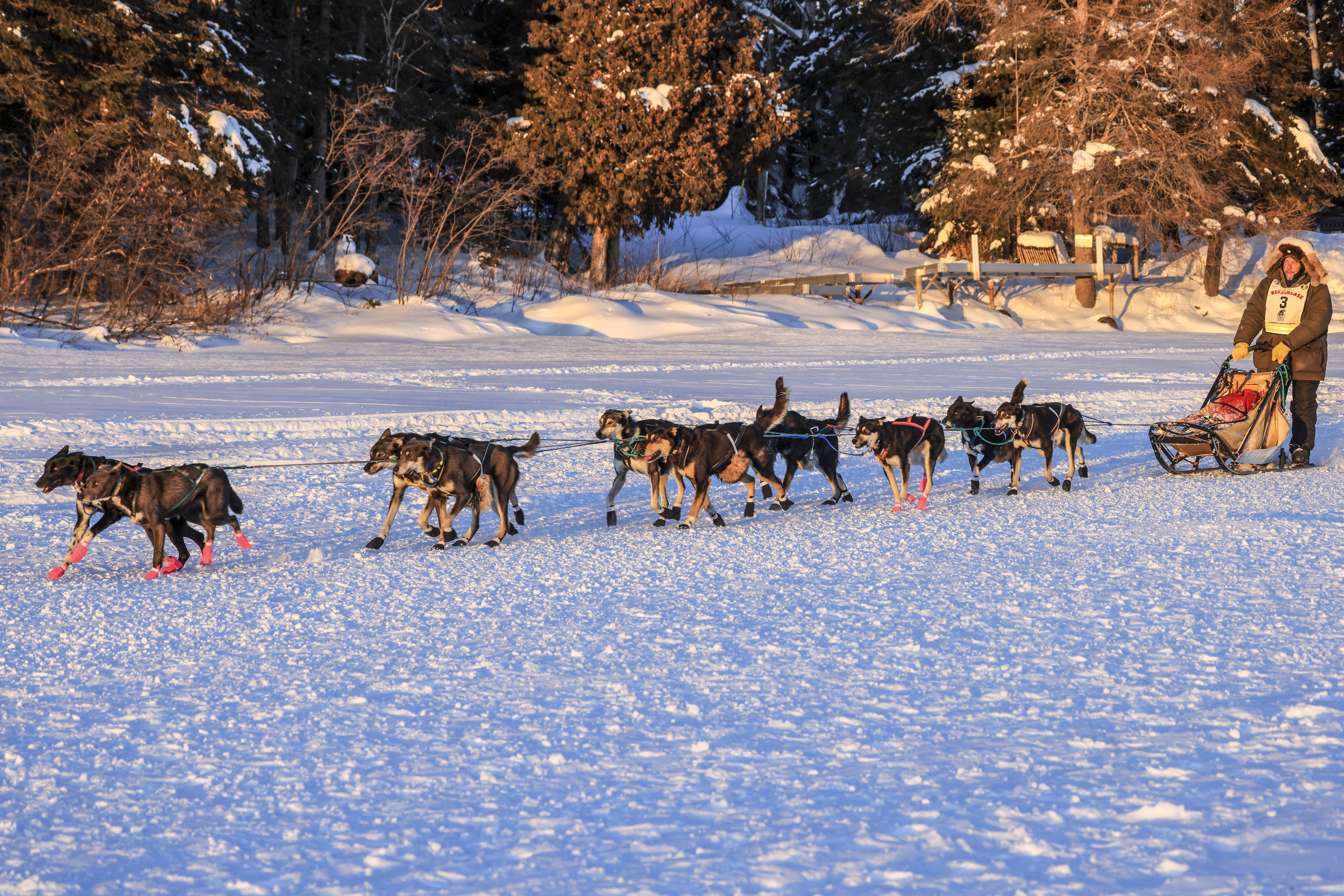 Beargrease mushers begin to reach final checkpoint - Vimarsana News