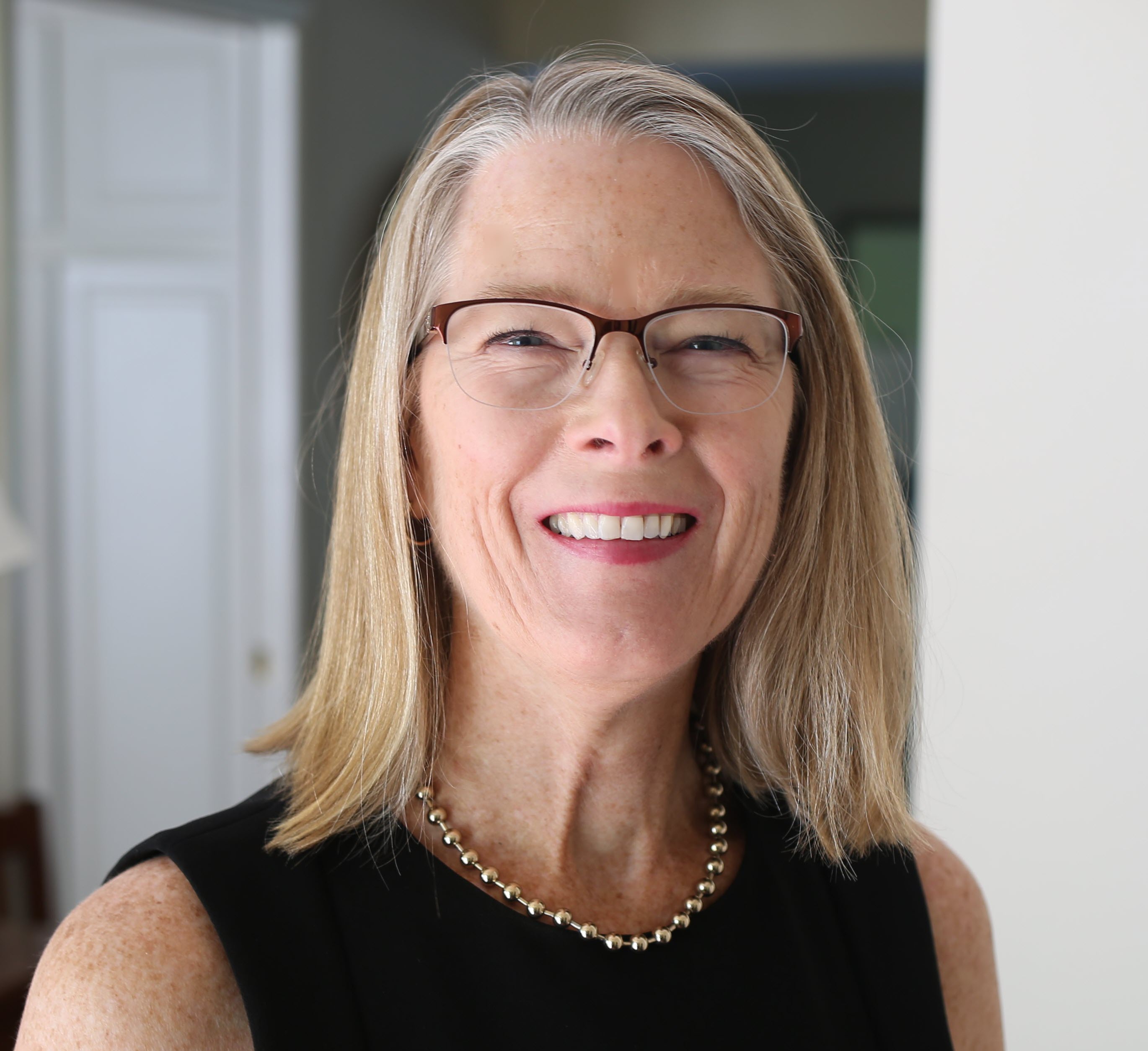 Secretary of State Challenger's View: Minnesota in need of better election laws - Vimarsana News