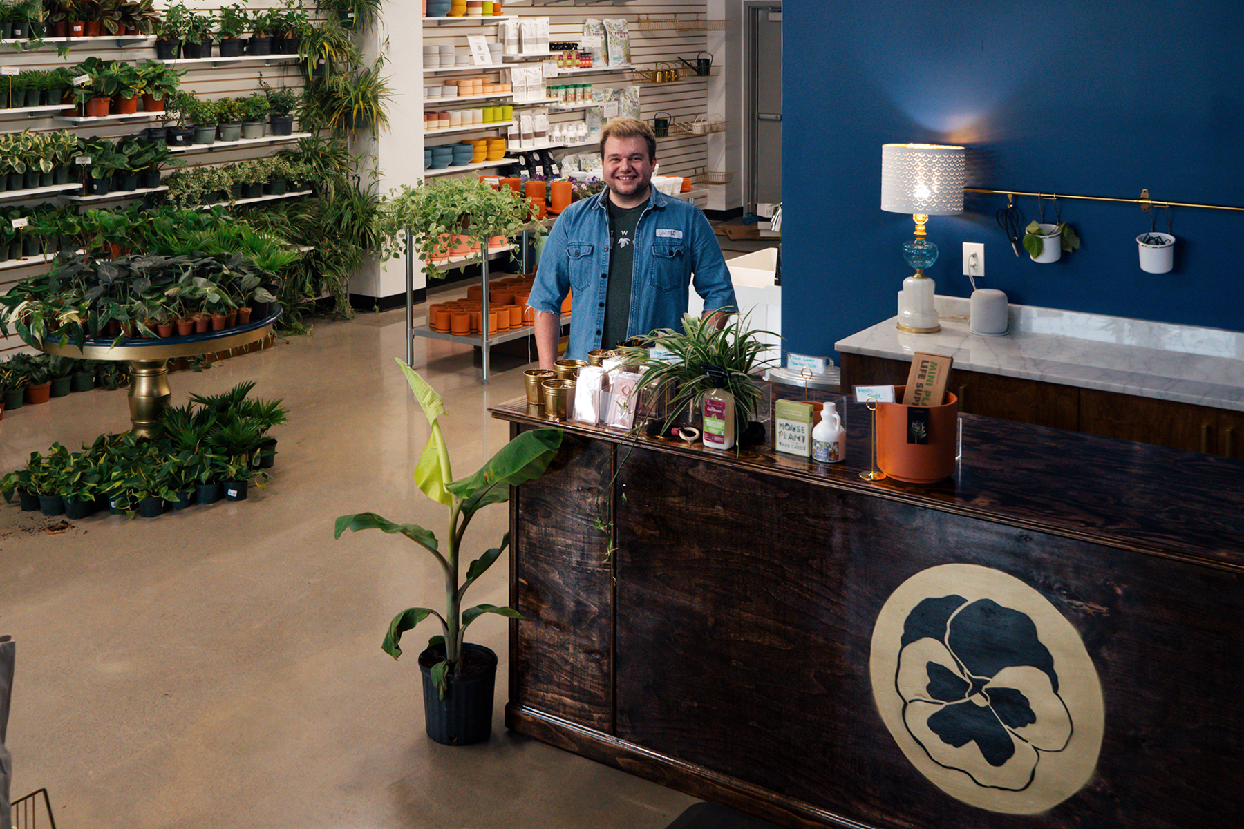 Britney Spears-inspired Pansy Plants opens 'Stronger' after delays - Vimarsana News