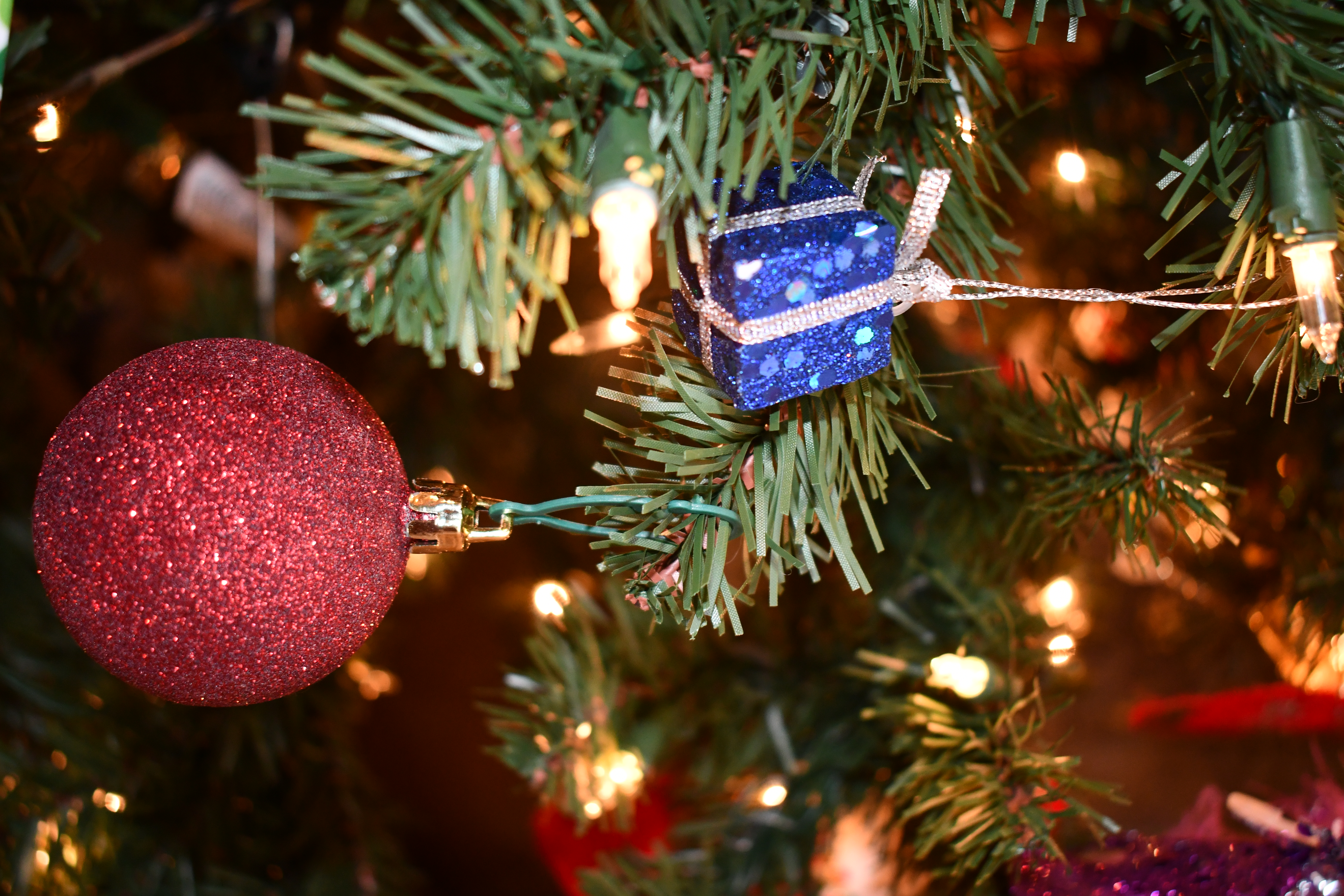 'Tis the season: Western Edge prepares for host of Christmas events - Vimarsana News