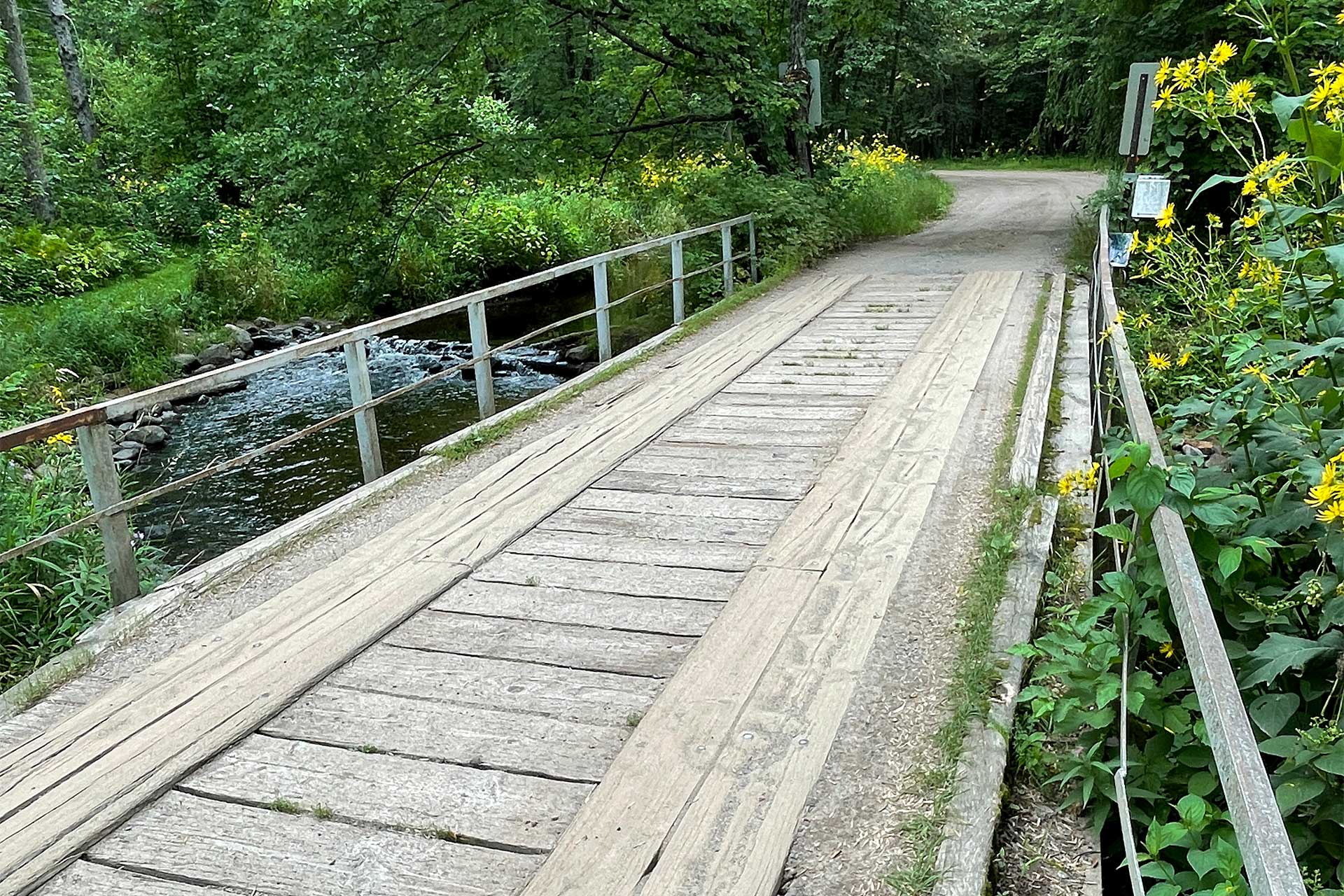 Shorthanded Lake Shore City Council takes no action on Fritz Loven Park bridge replacement - Vimarsana News