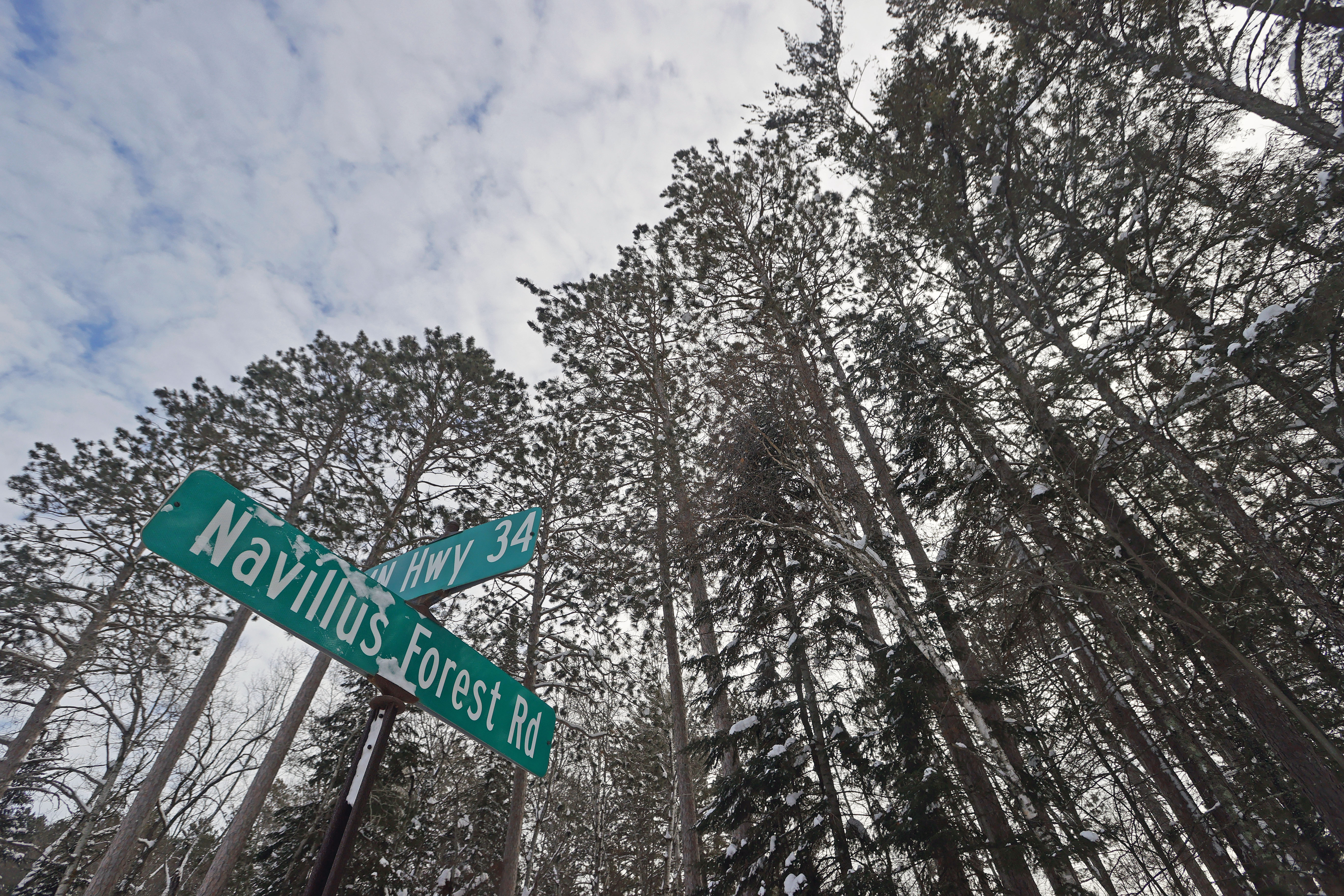 MnDOT pauses deep logging on Hwy 34 for one year, but tree removal continues along the roadway - Vimarsana News