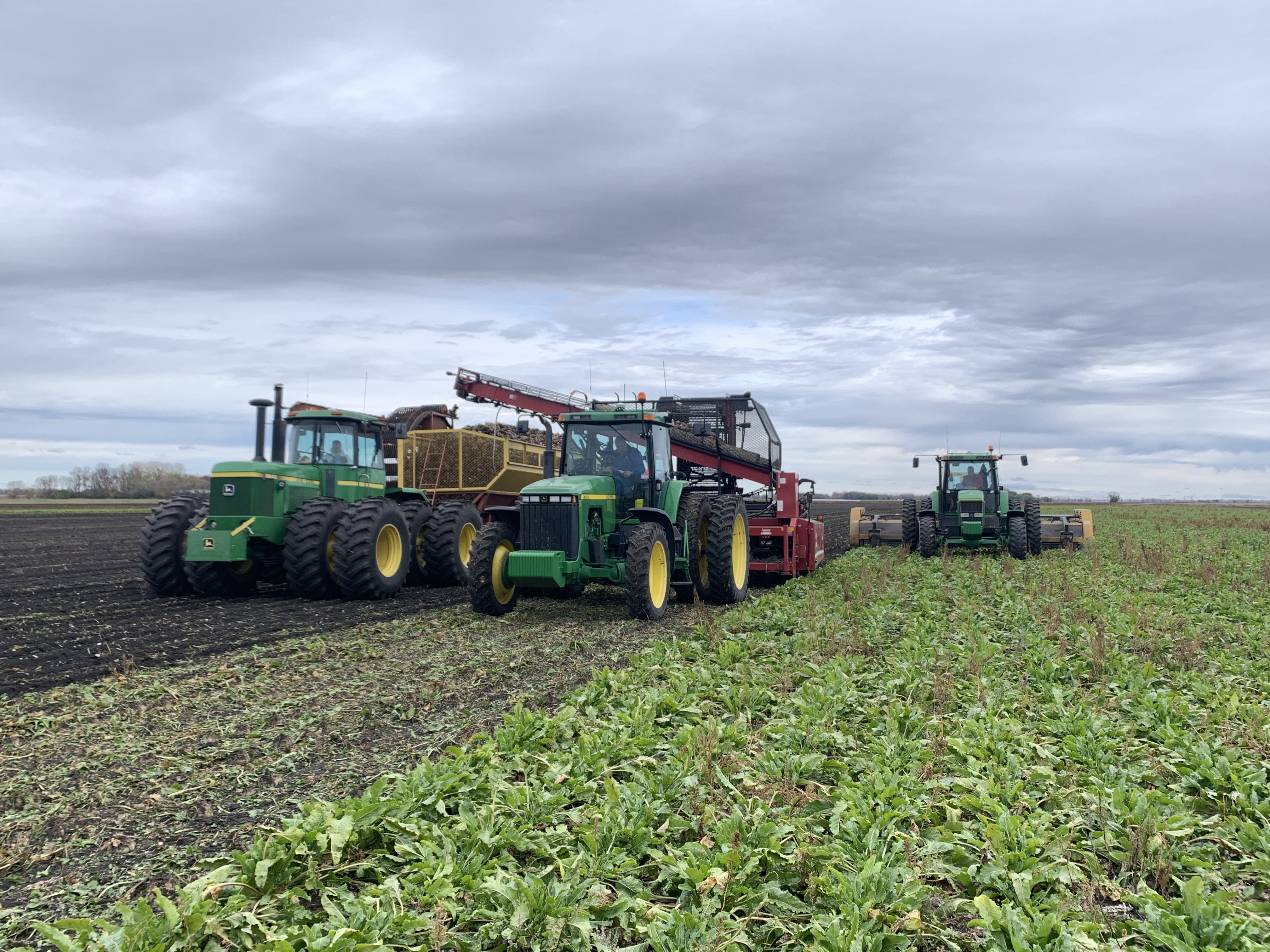 Sugarbeet slicing and processing campaigns proceed on schedule - Vimarsana News