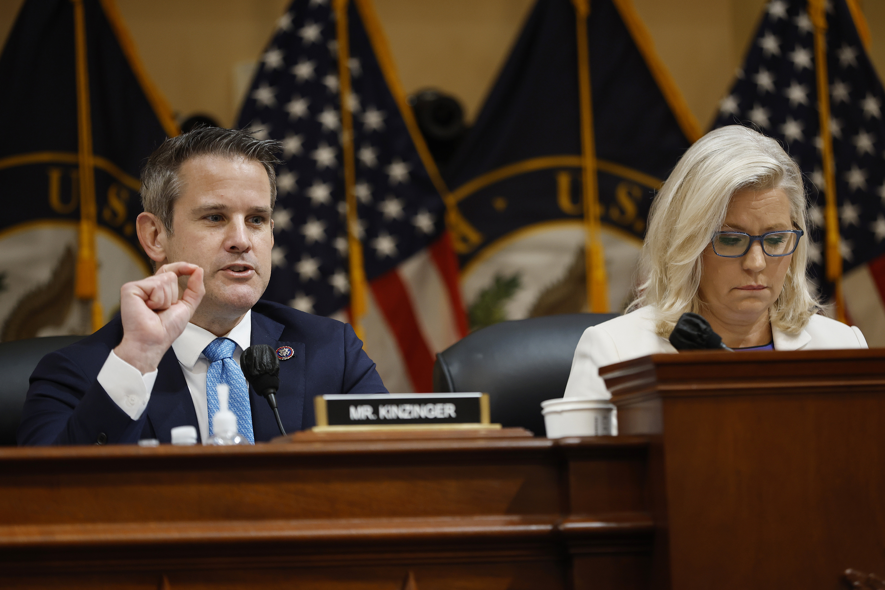 Robert A. George: Liz Cheney and Adam Kinzinger put patriotism over politics - Vimarsana News
