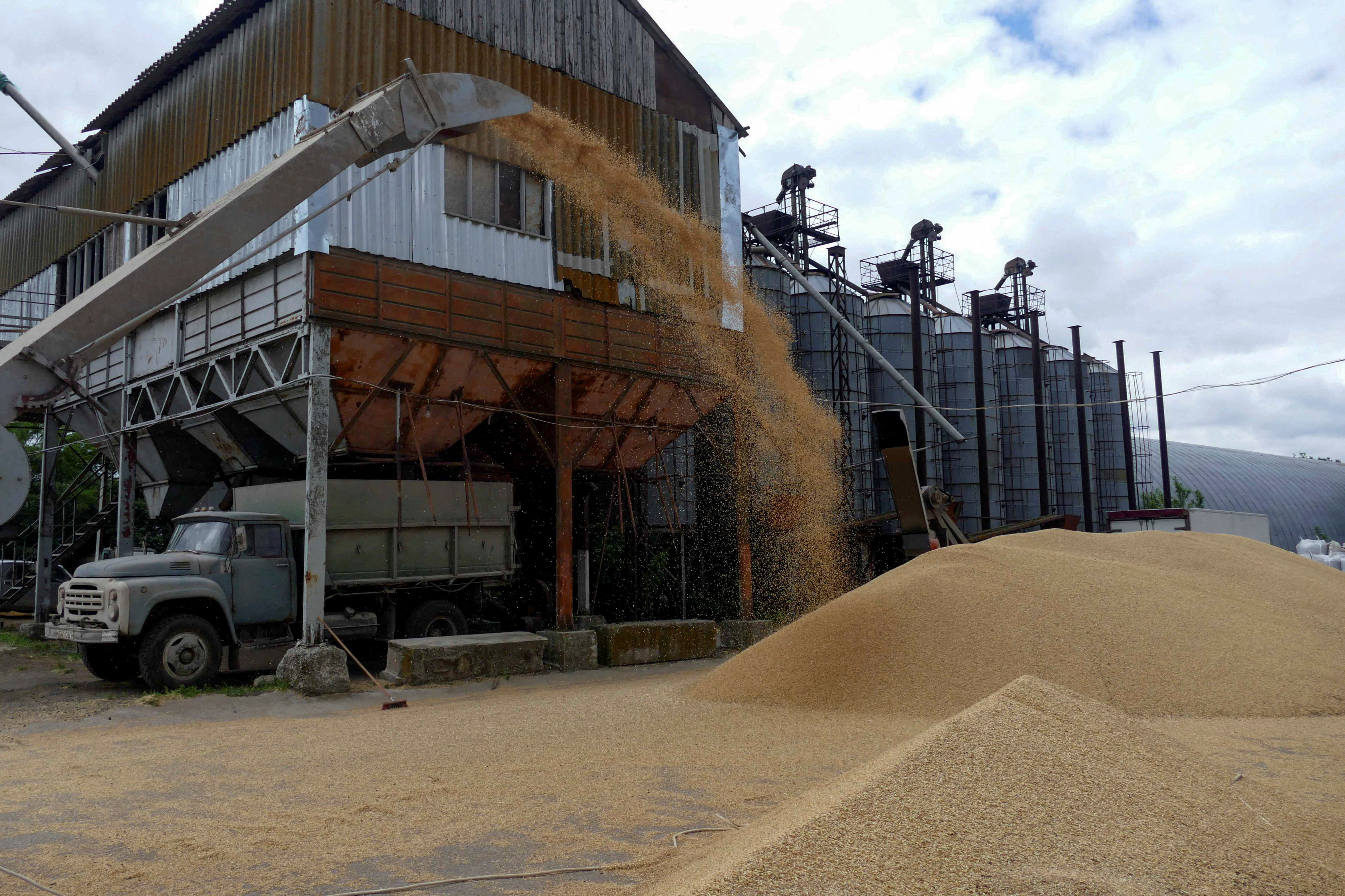 U.N. says details for safe Ukraine grain shipments still being worked out - Vimarsana News