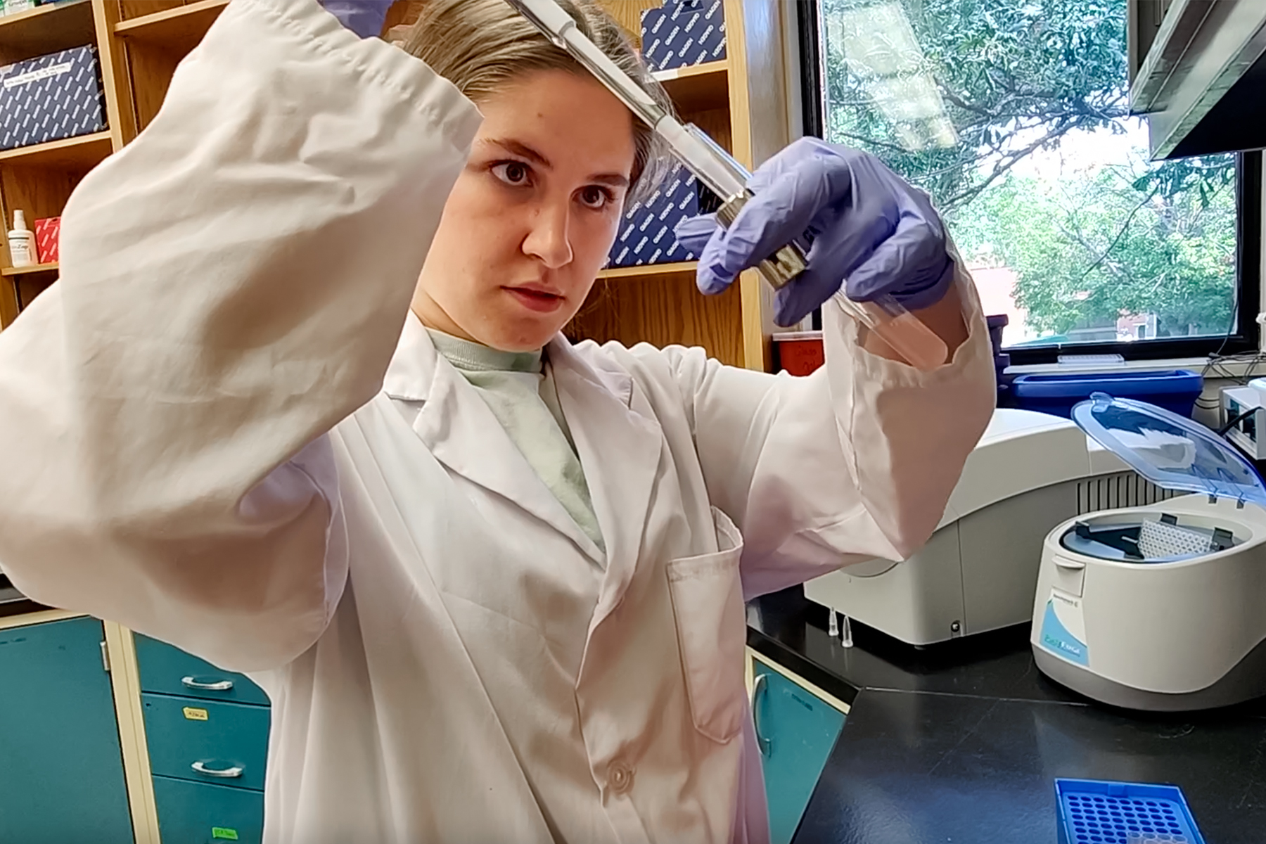 NDSU students bioengineer environmentally safe textile dye - Vimarsana News