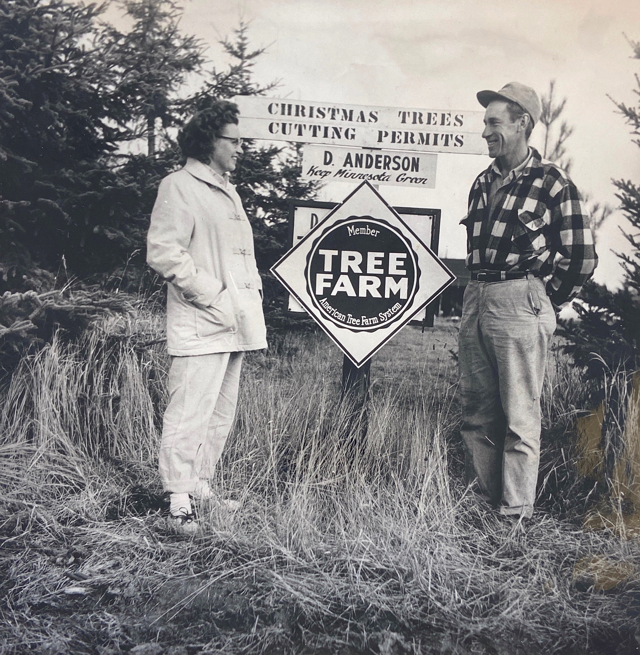 Farming in the forest: Finland man recalls growing up on 1,500 acres of rugged, wooded land - Vimarsana News