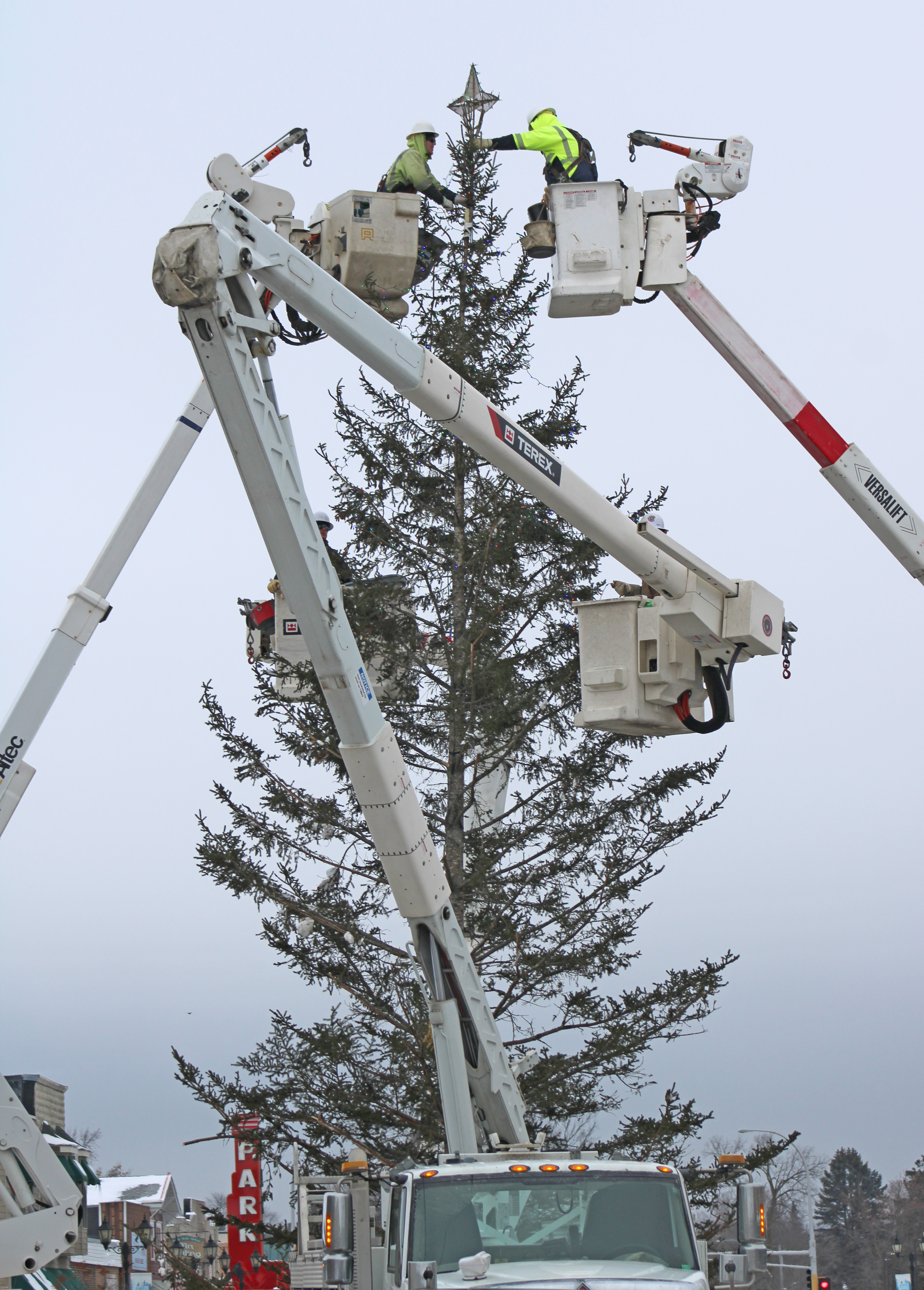 Community Christmas tree ushers in merriment - Vimarsana News