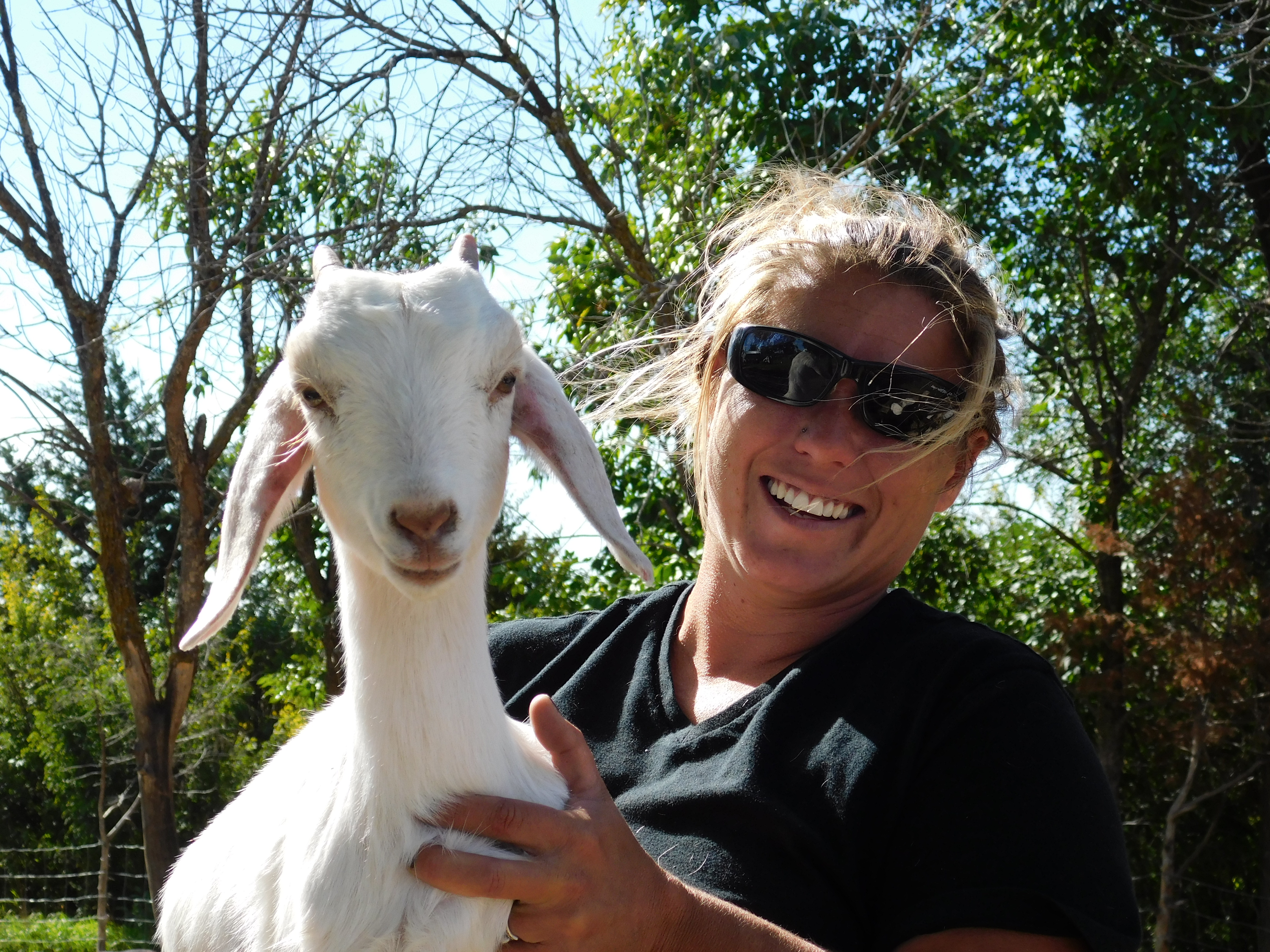 Central Minnesota farm raises its hundreds of goats by following the tenets of halal - Vimarsana News