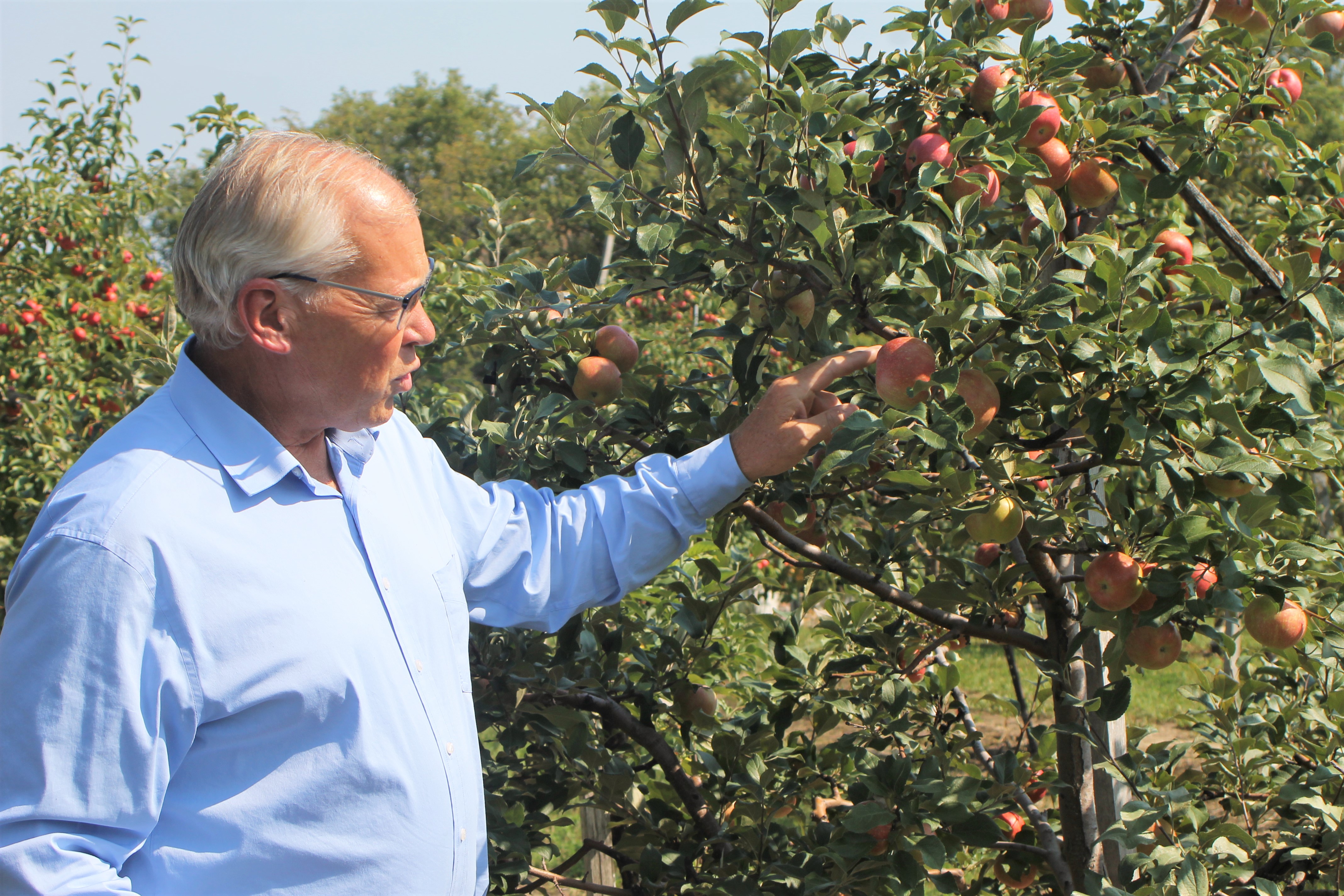 Get free, fresh pressed apple juice at Gottenborg Apple Orchard Saturday, Sept. 10 - Vimarsana News