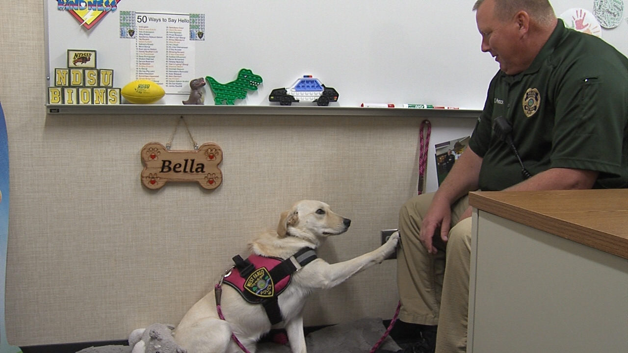 West Fargo Public Schools opens school year with a new furry friend - Vimarsana News