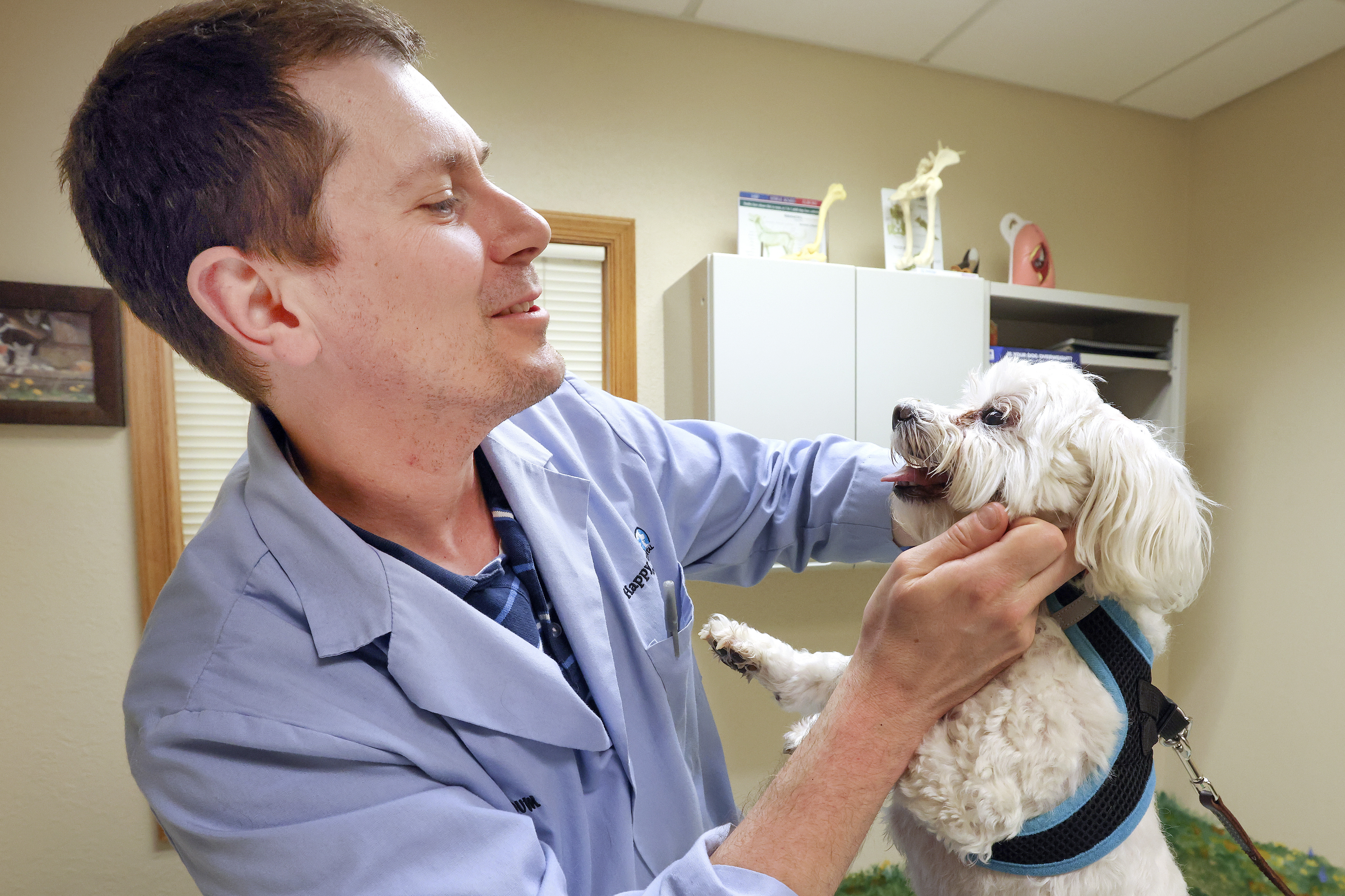 Superior veterinarian balances booming business, pandemic - Vimarsana News