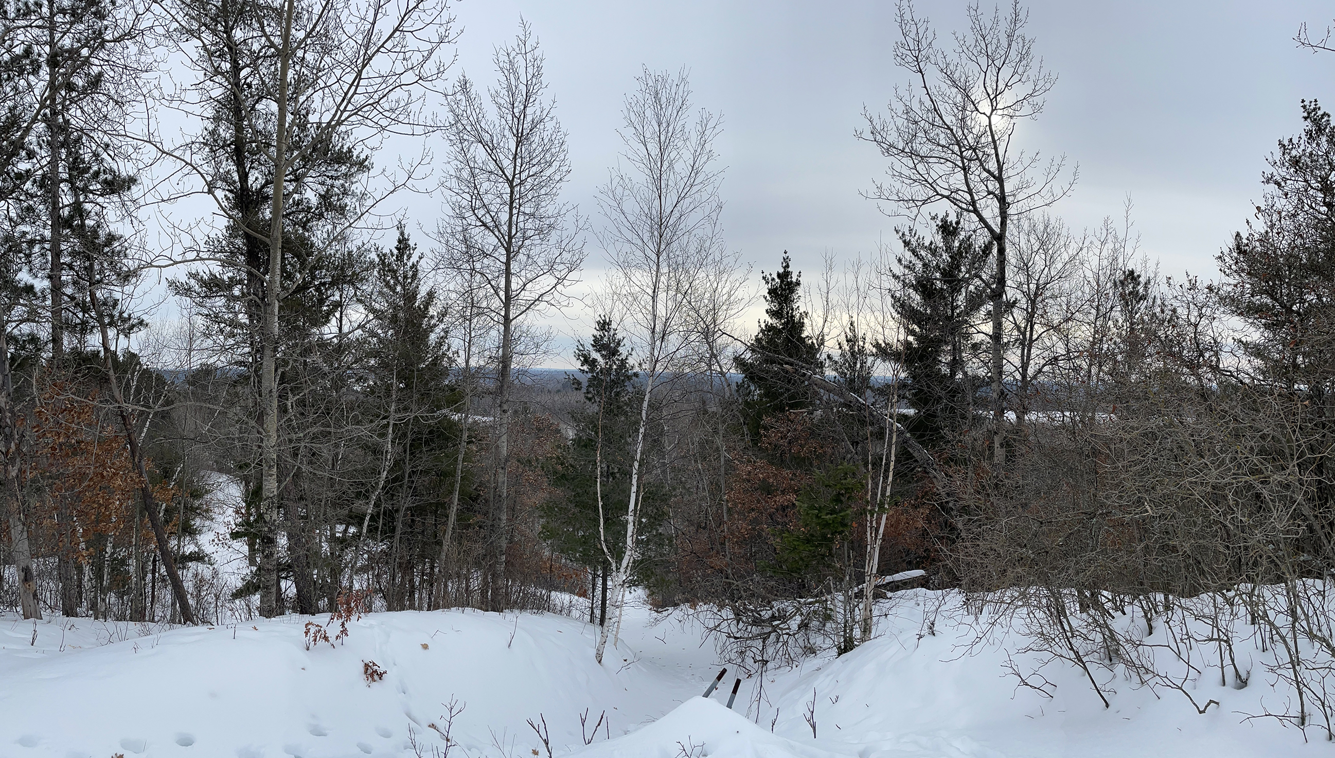 Hillside memories of Wilton's 'Little Switzerland' - Vimarsana News