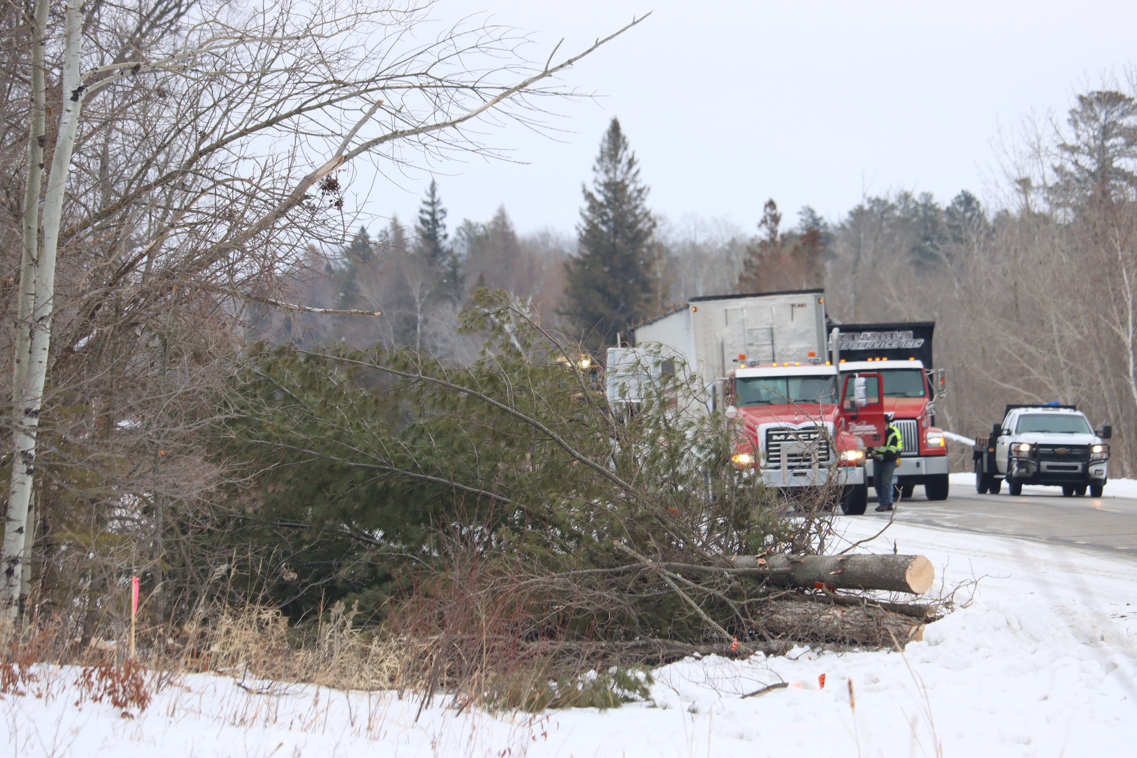 Cutting trees and breaking hearts: Logging starts on scenic Highway 34 - Vimarsana News