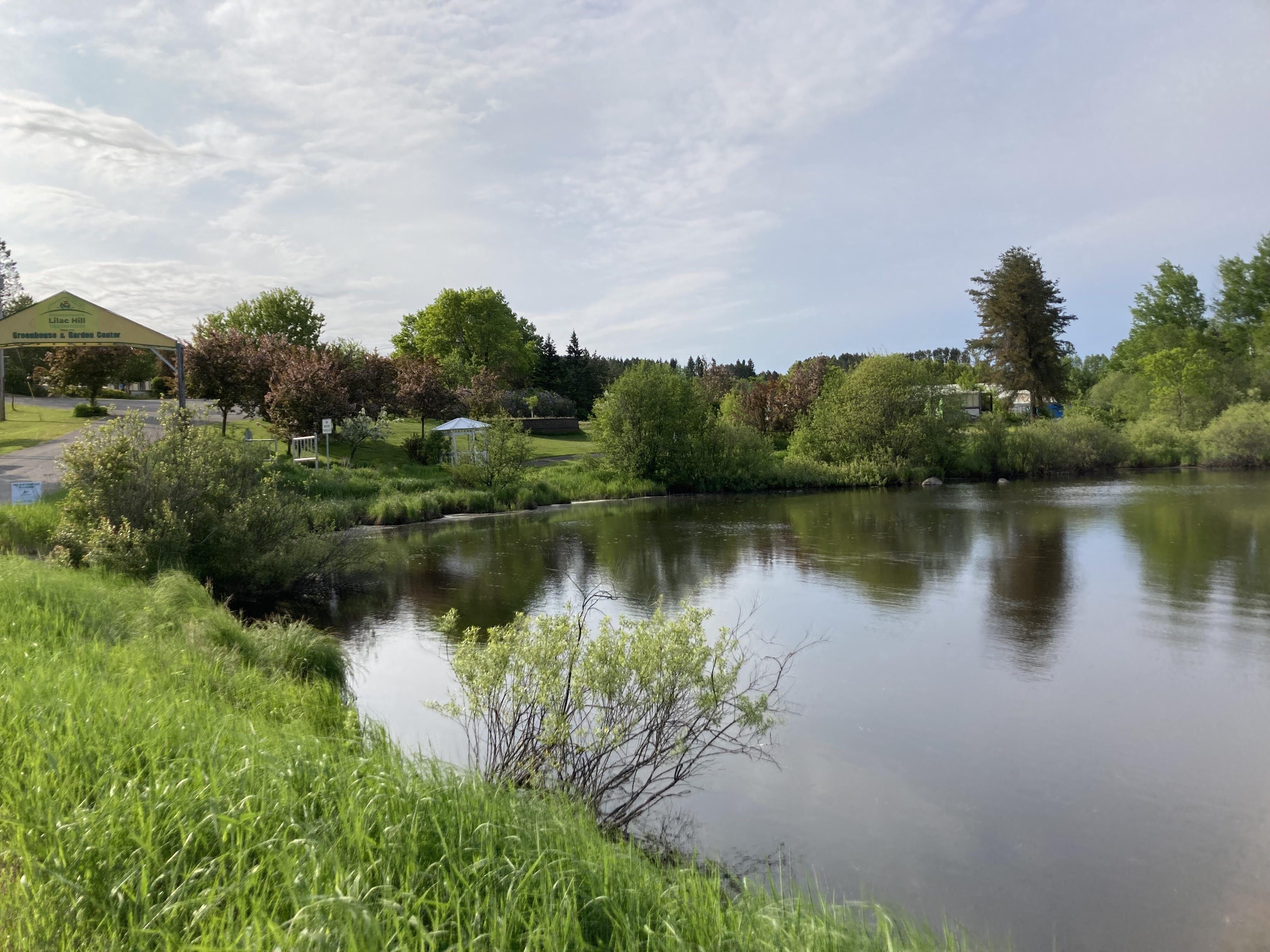 Potential Hermantown apartment rezoning approved - Vimarsana News