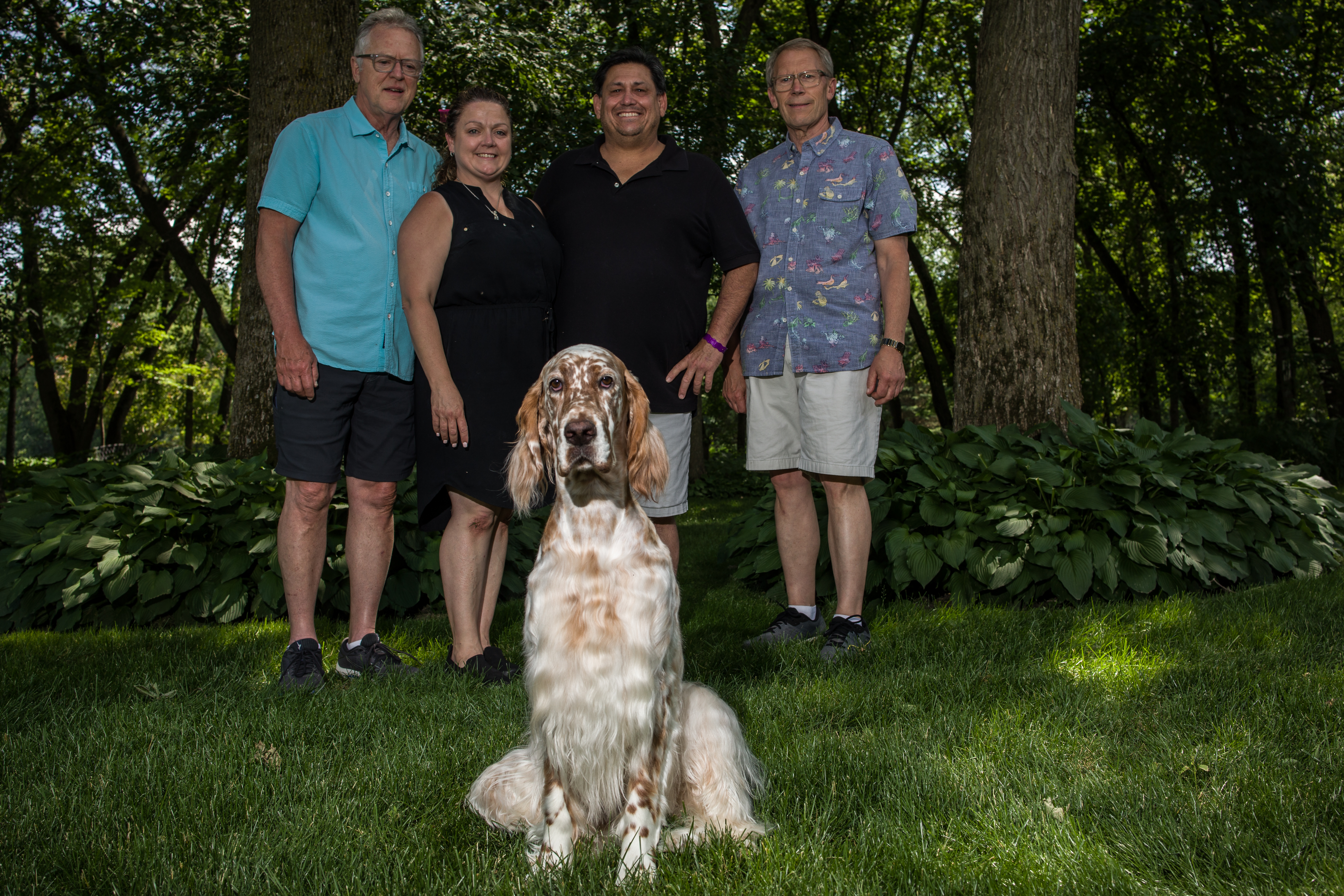 Belle, the English Setter from southeast Minnesota, made Westminster show history - Vimarsana News