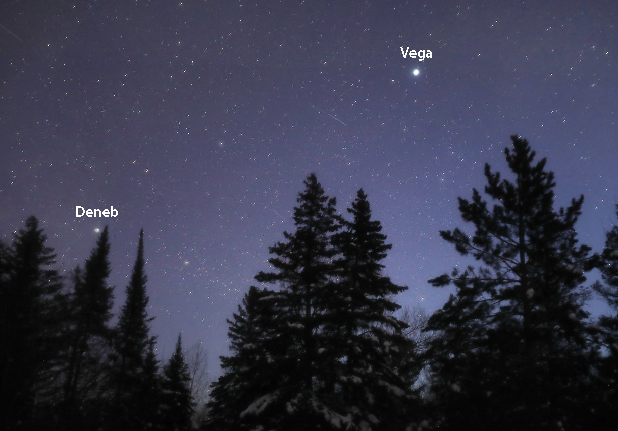 Astro Bob: Why do some summer stars linger into December? - Vimarsana News