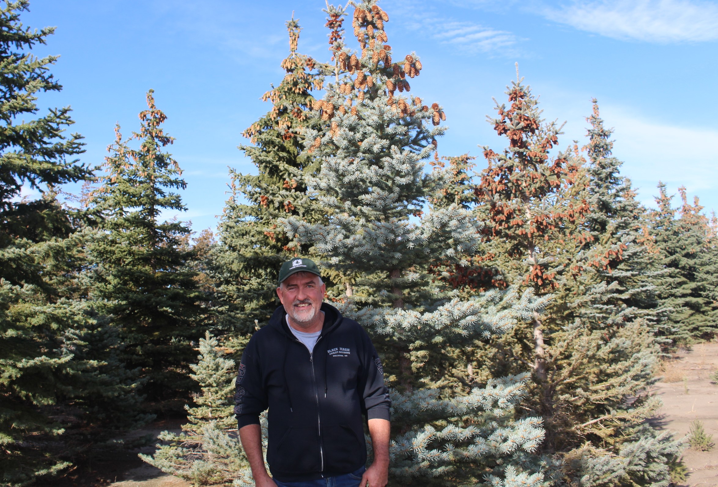 Christmas tree farms are rare on the prairie, but they do exist - Vimarsana News