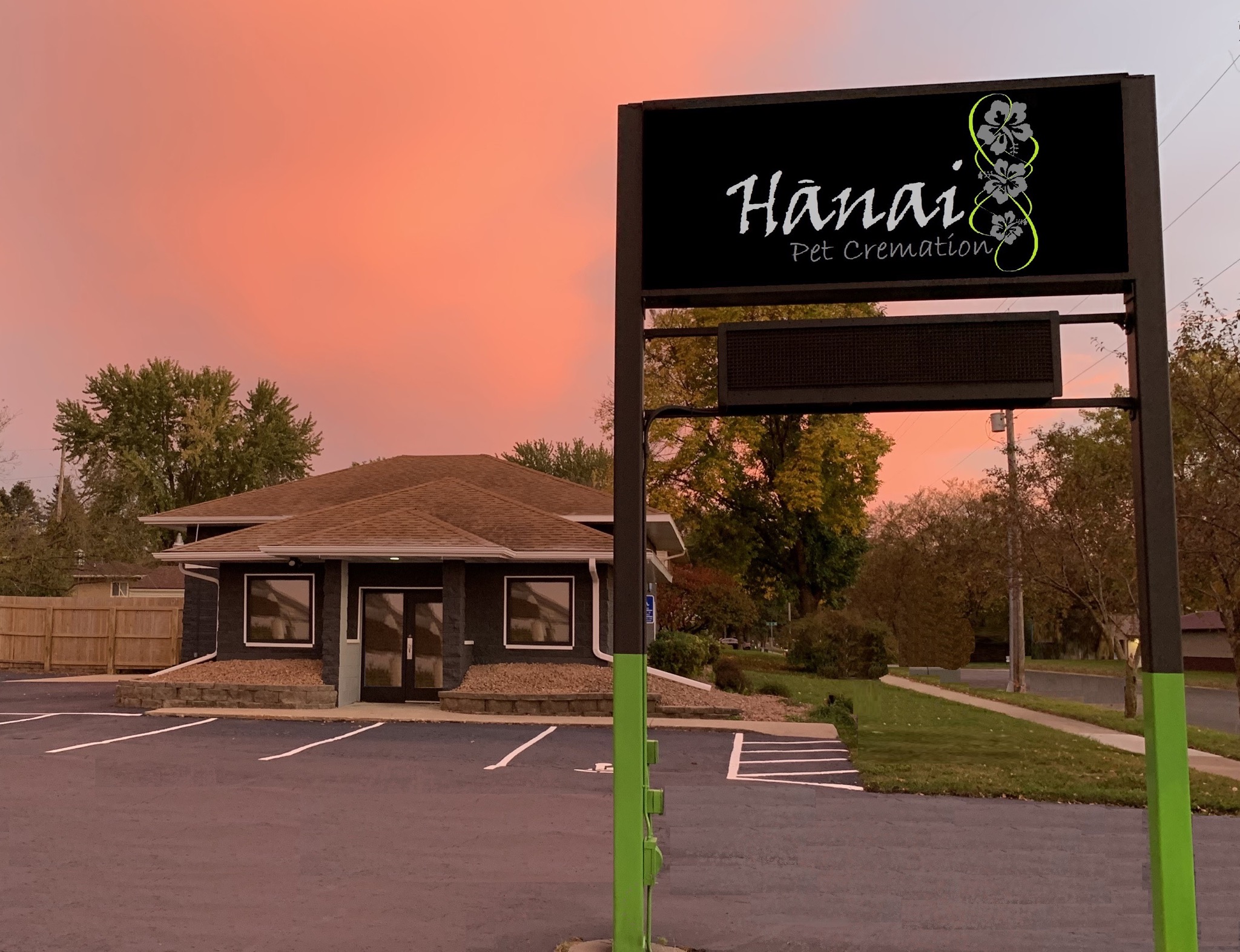 New Med City pet crematorium to help people say farewell to animal companions - Vimarsana News