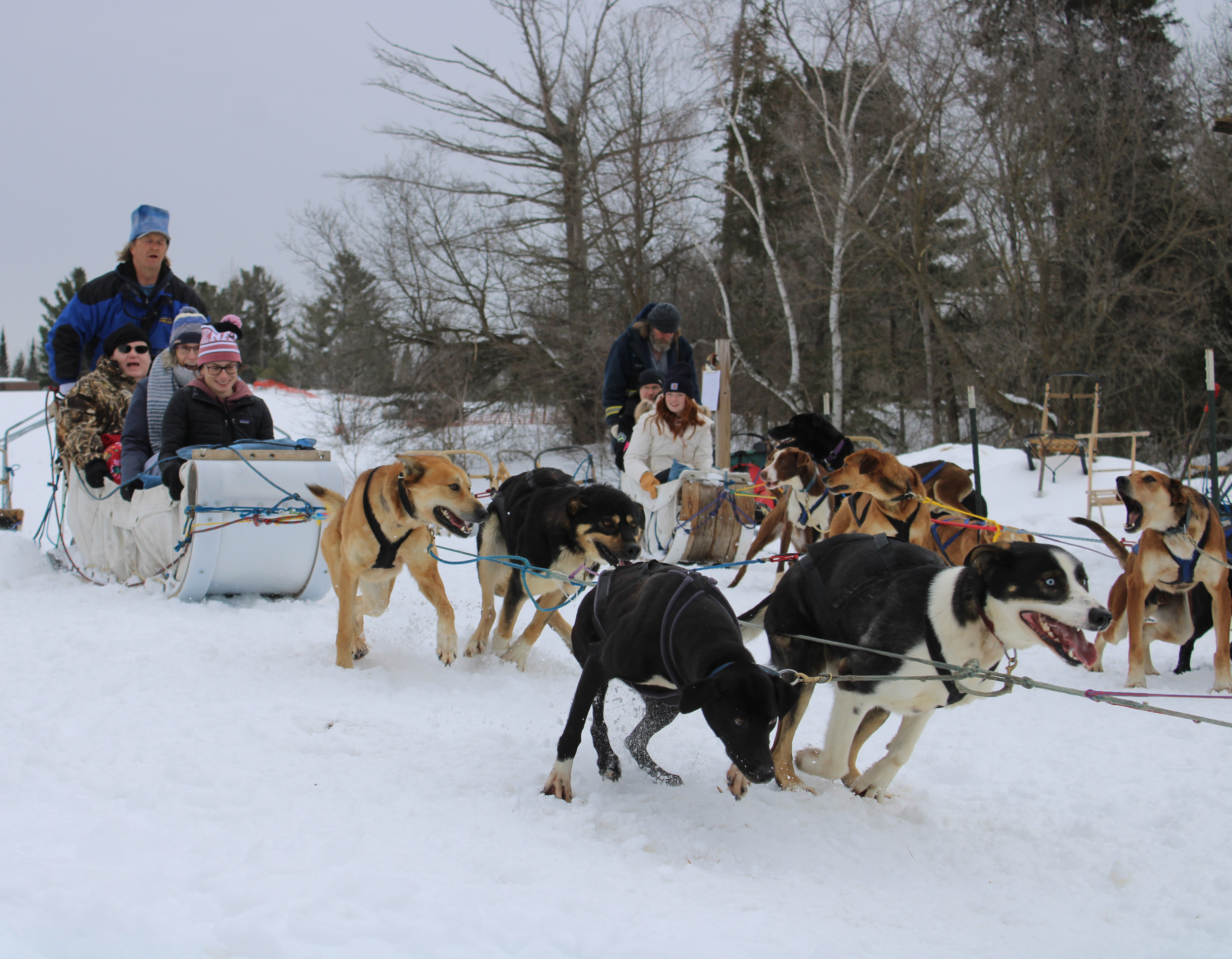Local mushers guide veterans on dog sled rides - Vimarsana News