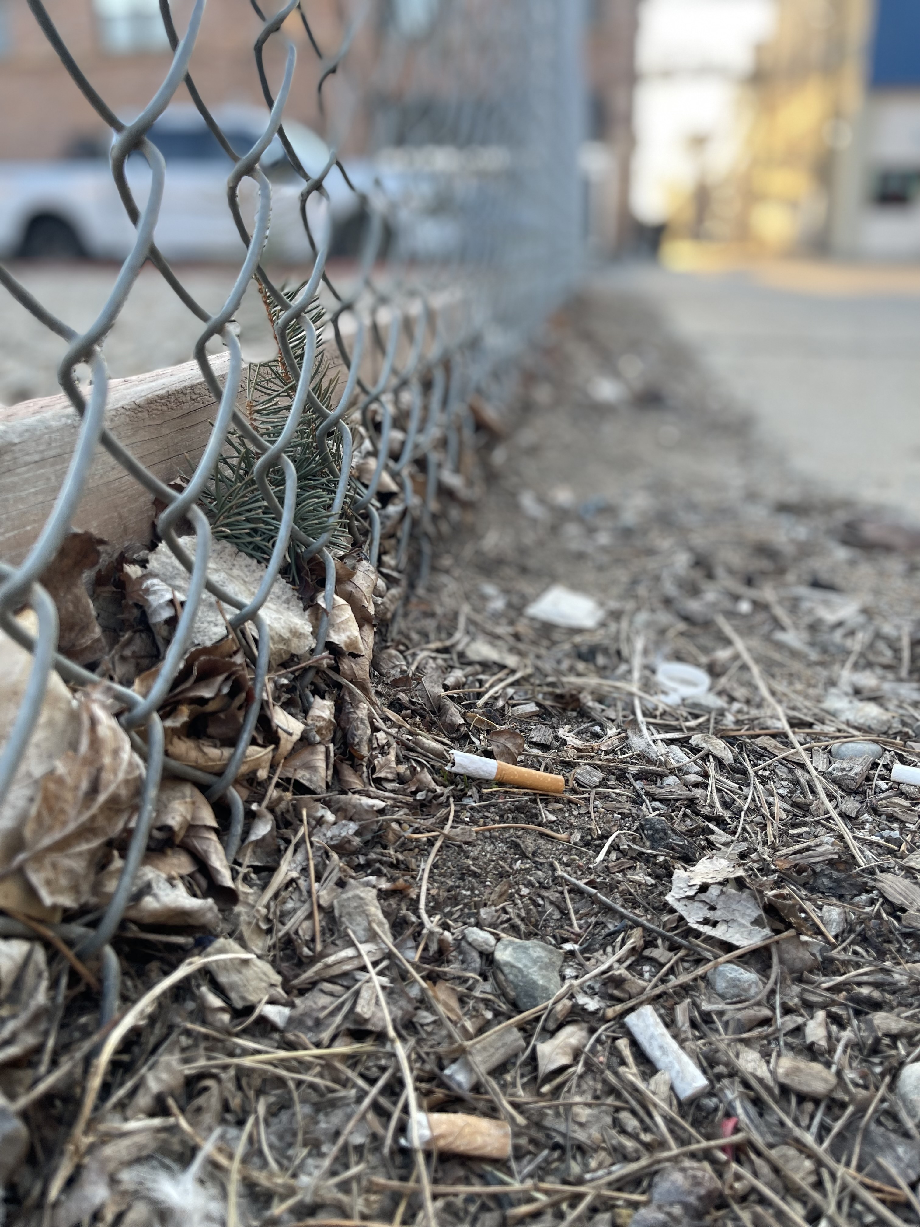 Dickinson to clean up city with cigarette receptacles; remove hazardous trees - The Dickinson Press | News, weather, sports from Dickinson North Dakota - Vimarsana News
