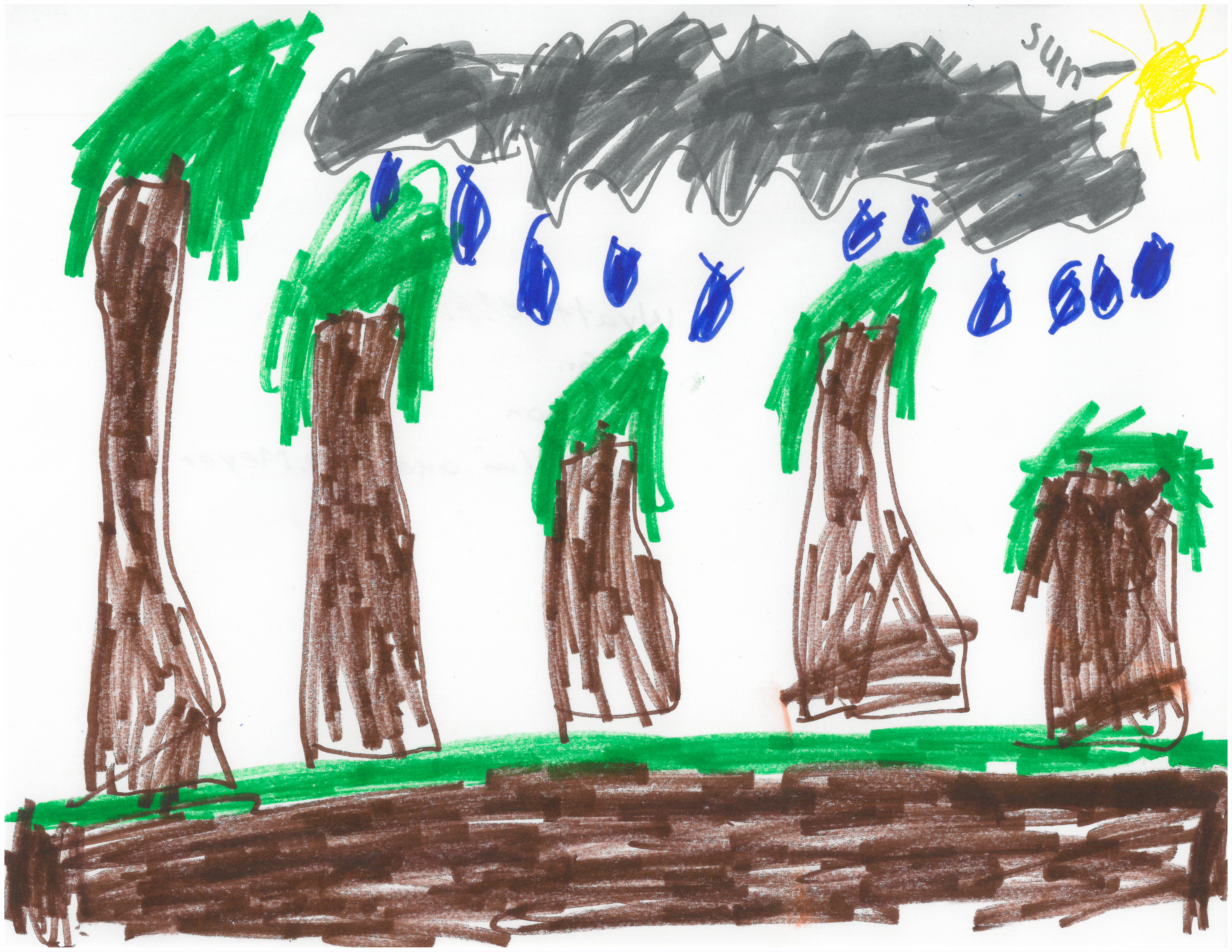 Weather Drawing: A little rain must fall - Vimarsana News