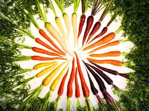 Trott column: What should you plant in your garden this year? - Vimarsana News