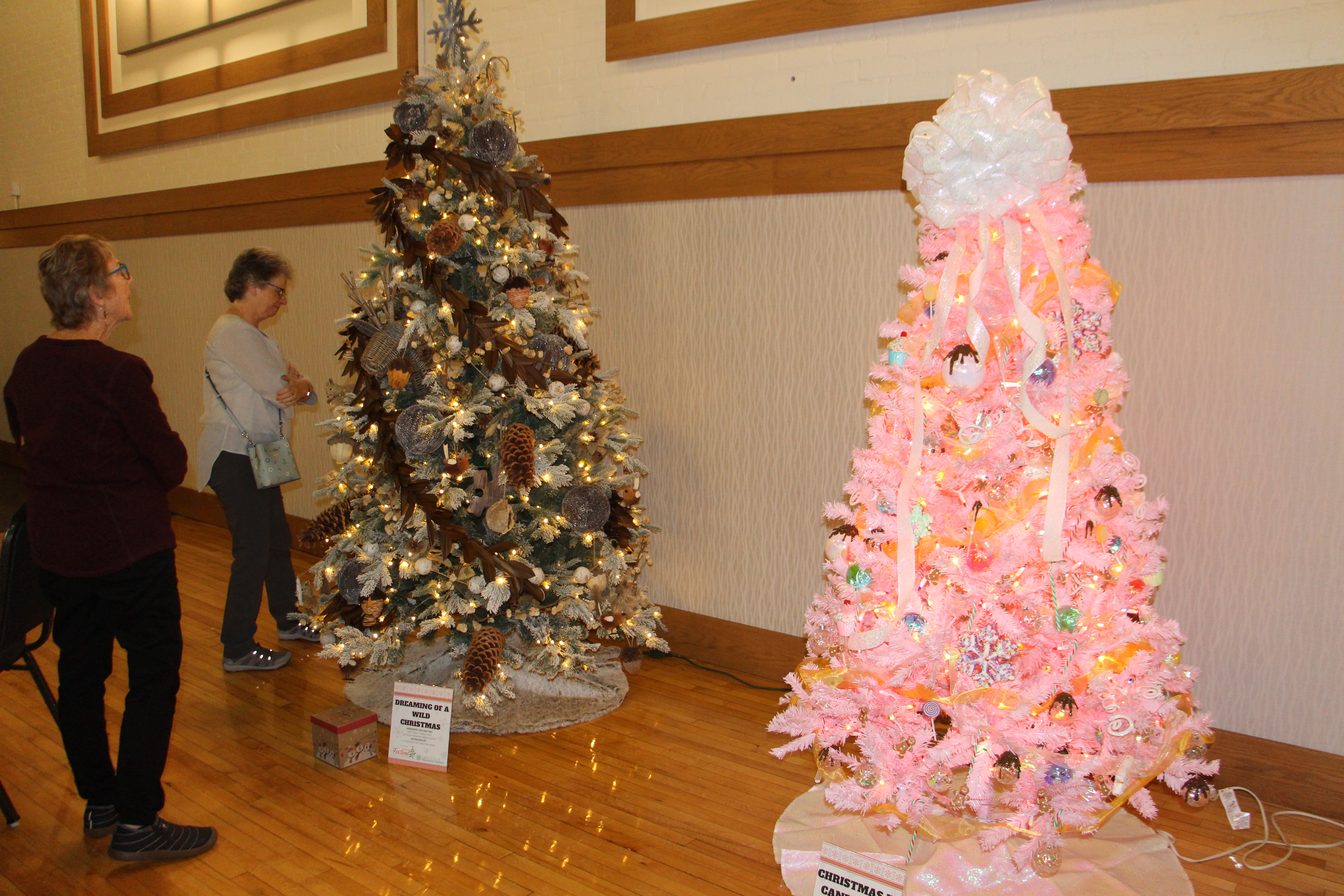 Festival of Trees raises nearly $16,500 for Lakes Crisis & Resource Center - Vimarsana News