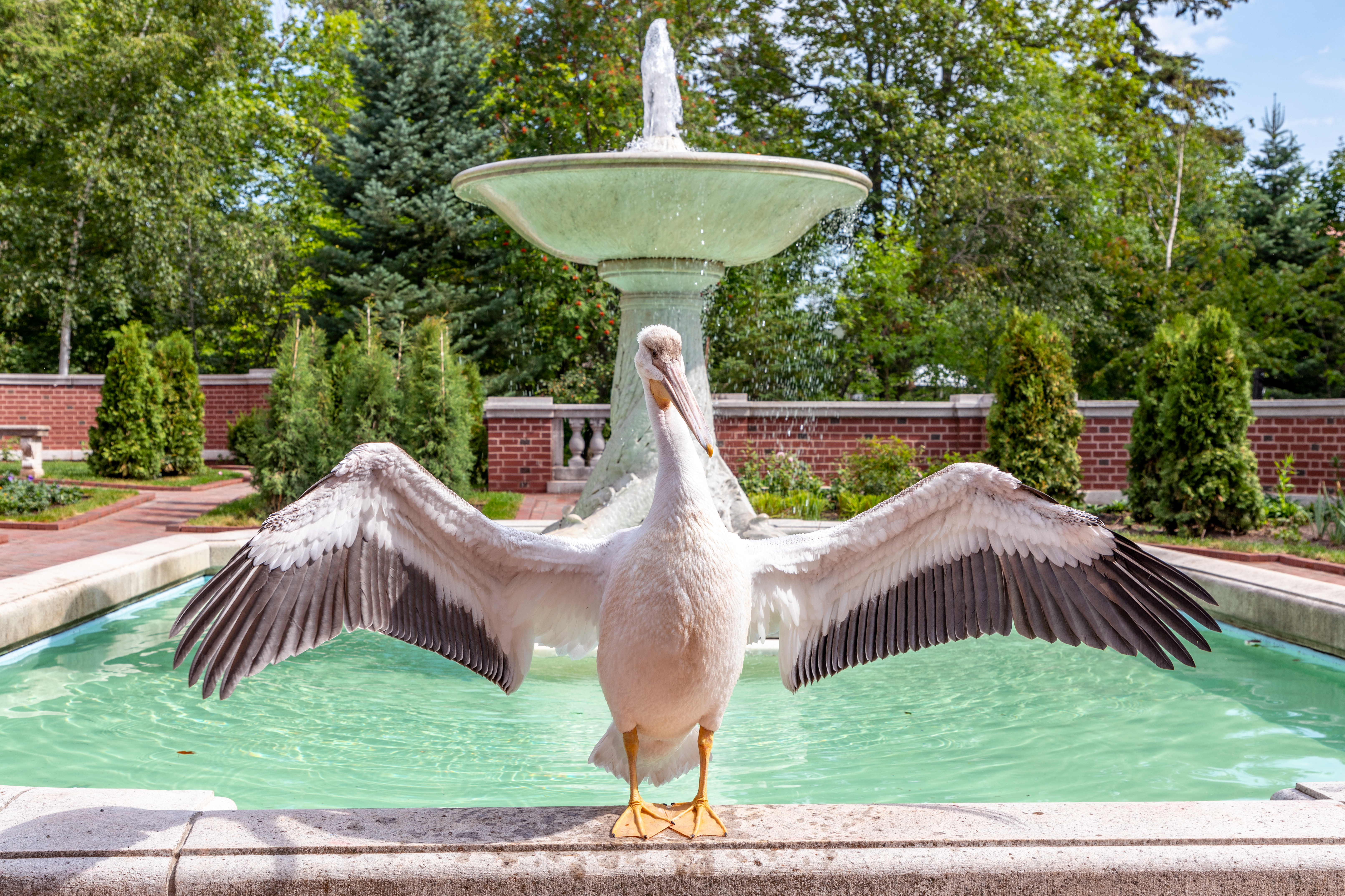 Glensheen's formal garden reopens after restoration - Vimarsana News