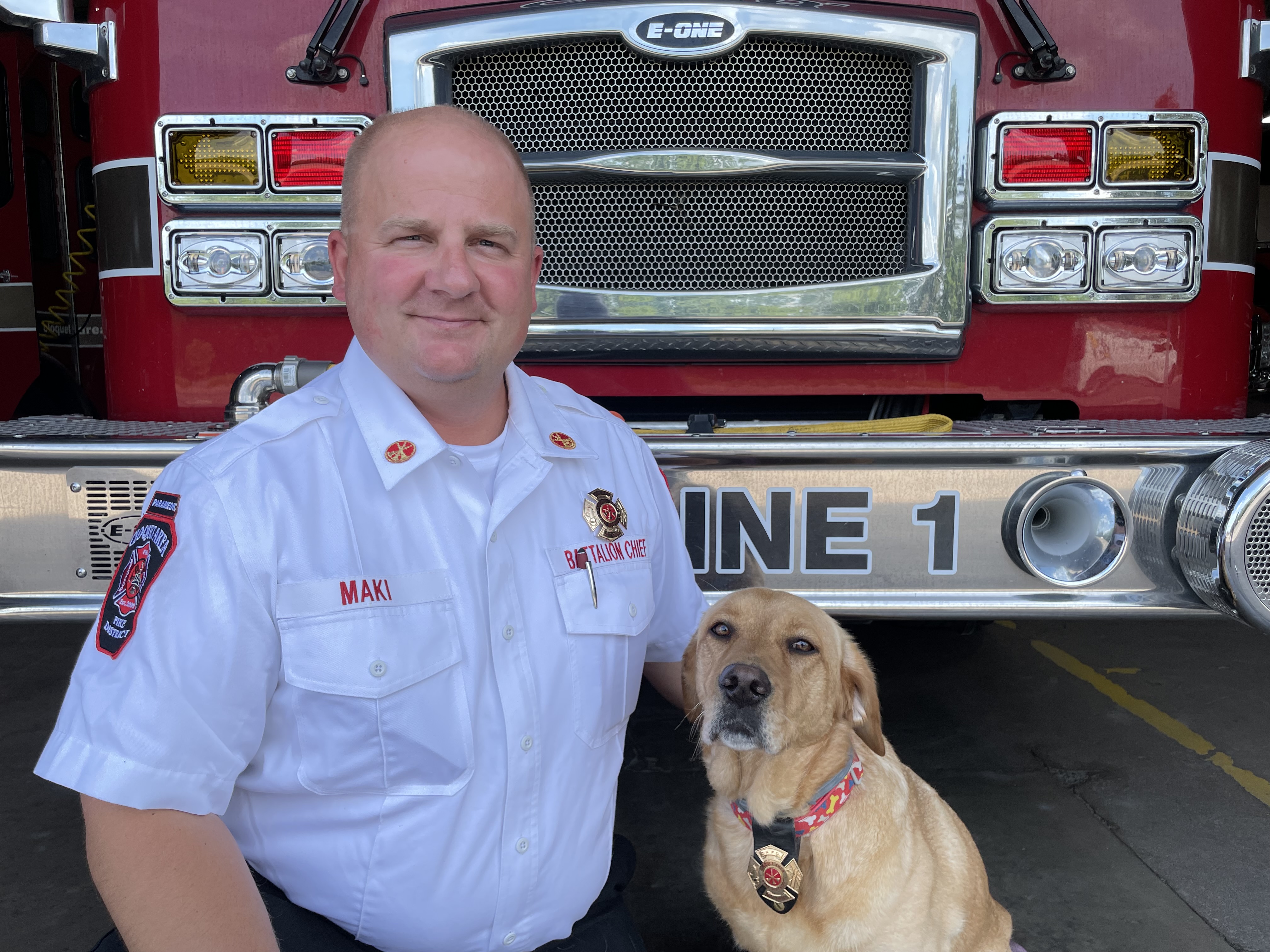 New K-9 gears up for service with the Cloquet Area Fire District - Vimarsana News