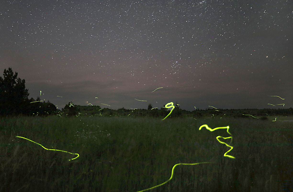 Astro Bob: July celestial highlights for fearless stargazers - Vimarsana News