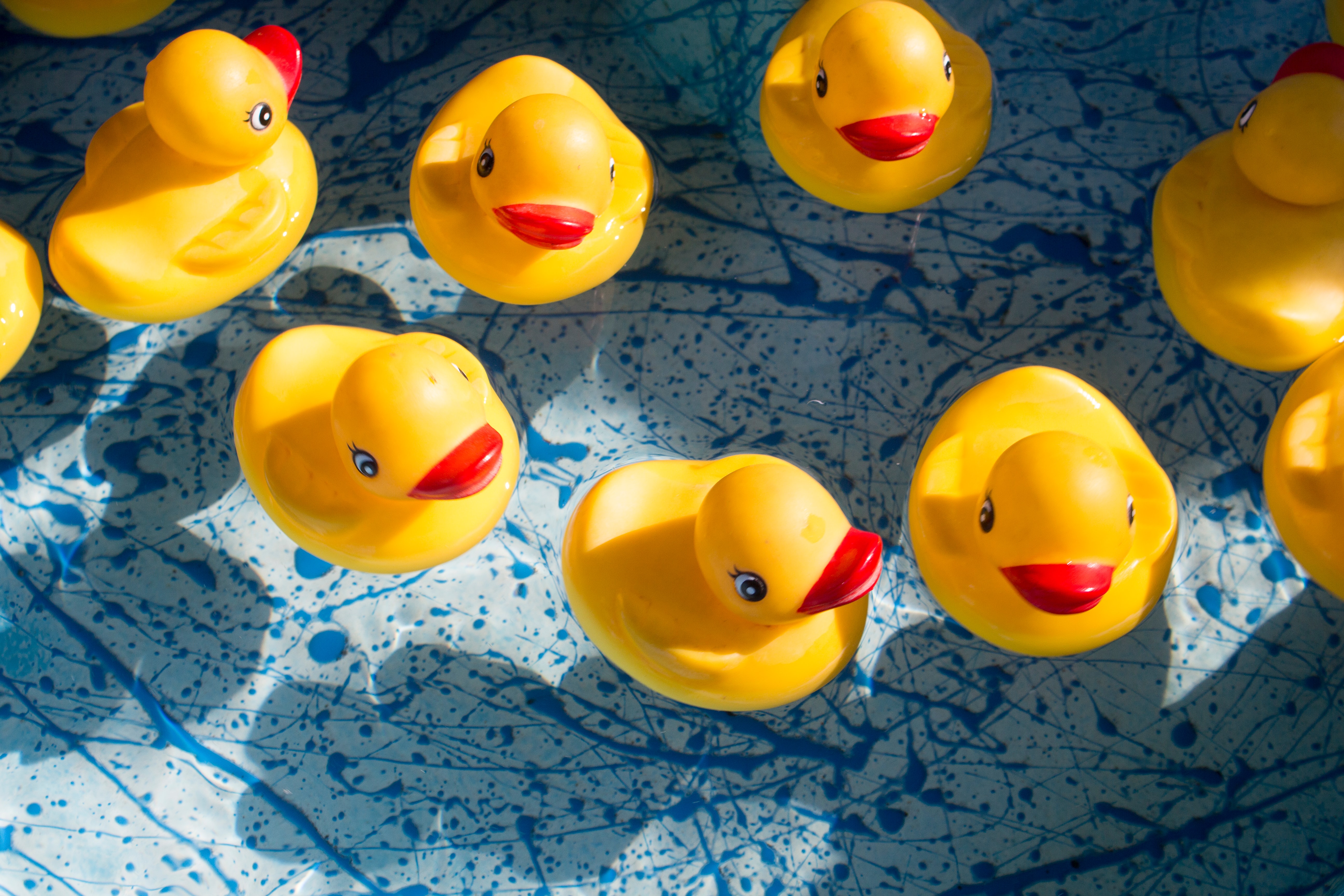 Windom's Riverfest to feature parade, fireworks, rubber duckies and a fire show - Vimarsana News