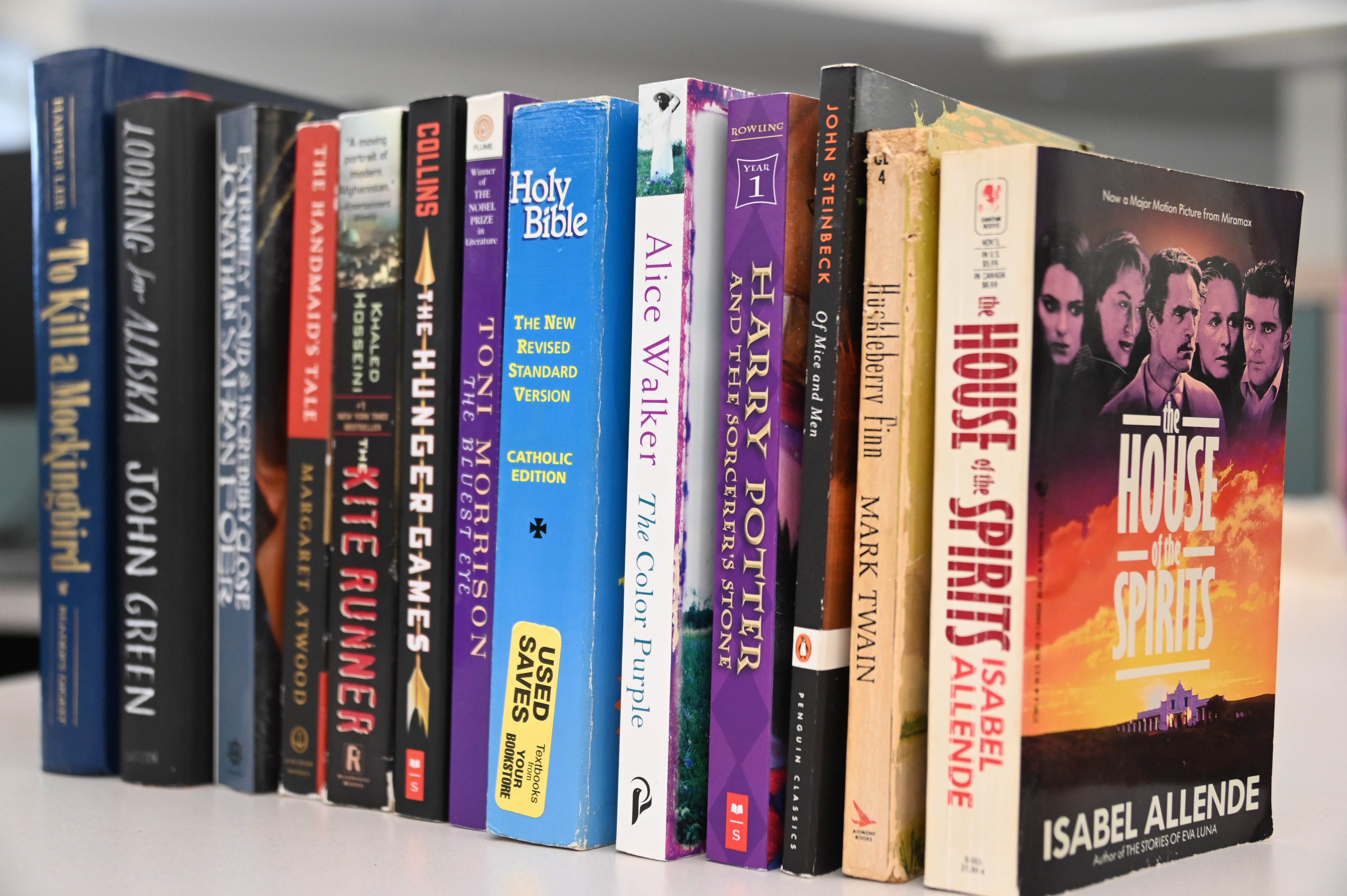 Bourke's Banned Bookshelf: So you want to ban a book? - Brainerd Dispatch | News, weather, sports from Brainerd and Baxter - Vimarsana News