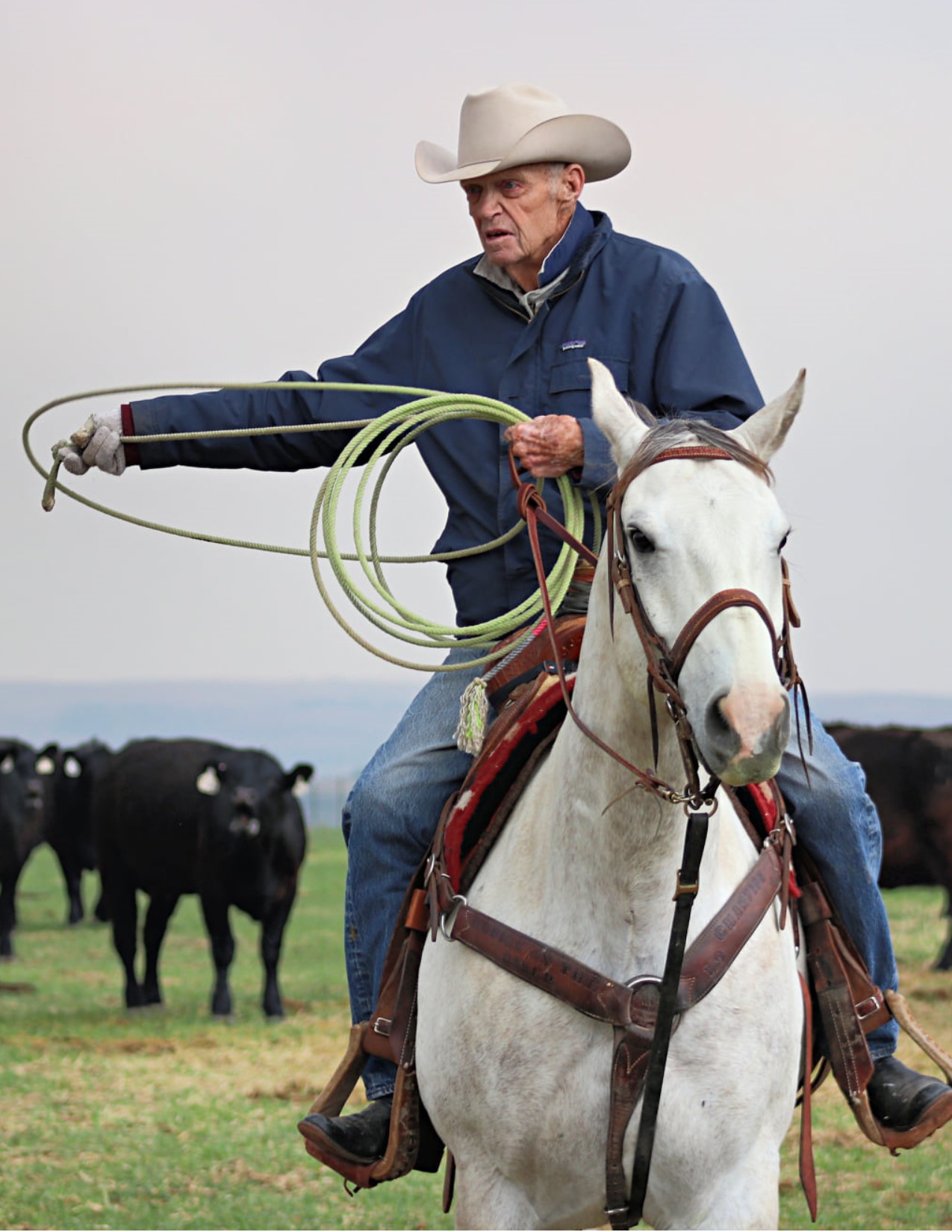 Holten: Teaching never stops - Vimarsana News