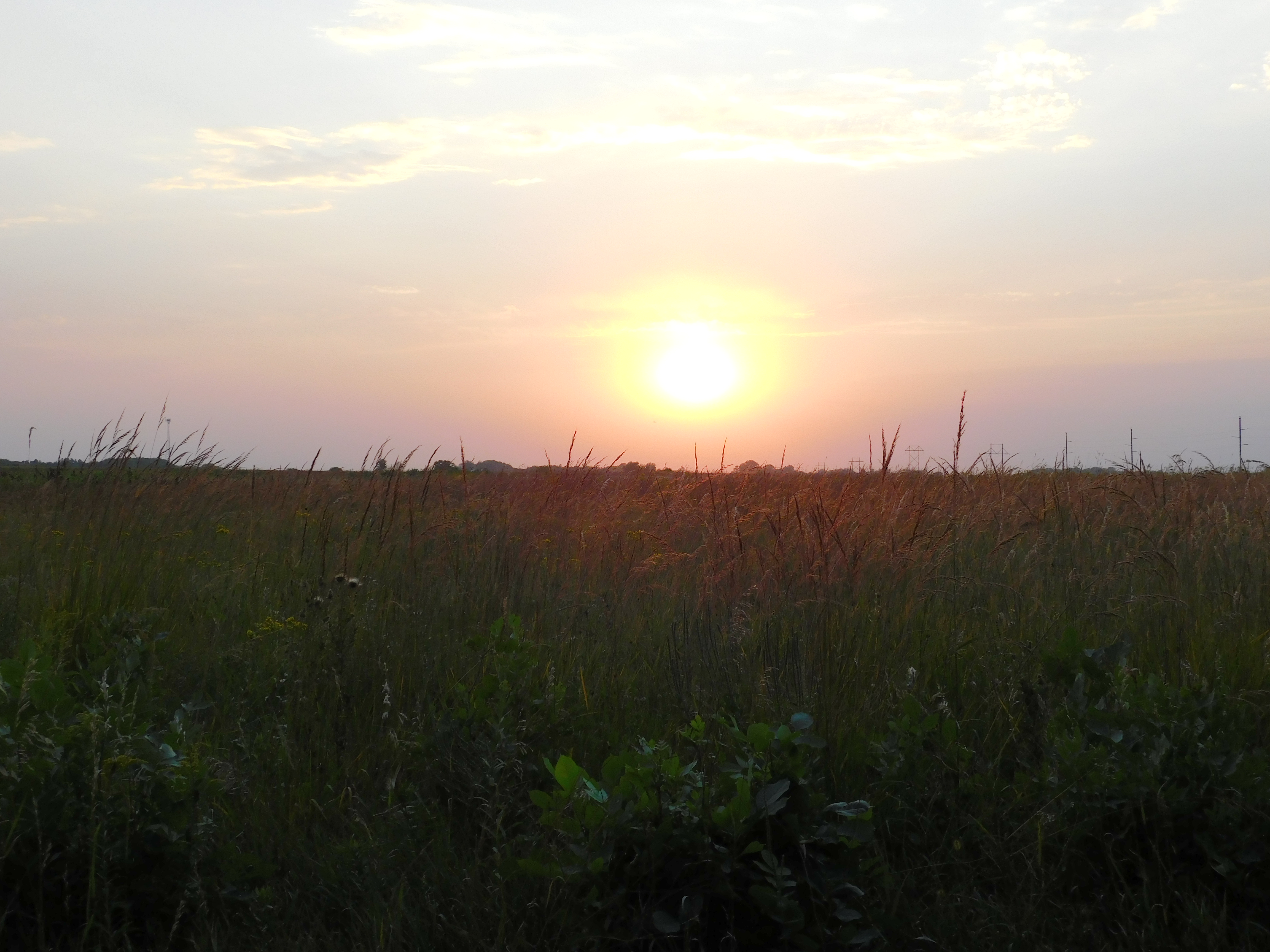 Remembering the Battle of Birch Coulee 160 years later with visit to historic site near Morton, Minnesota - Vimarsana News