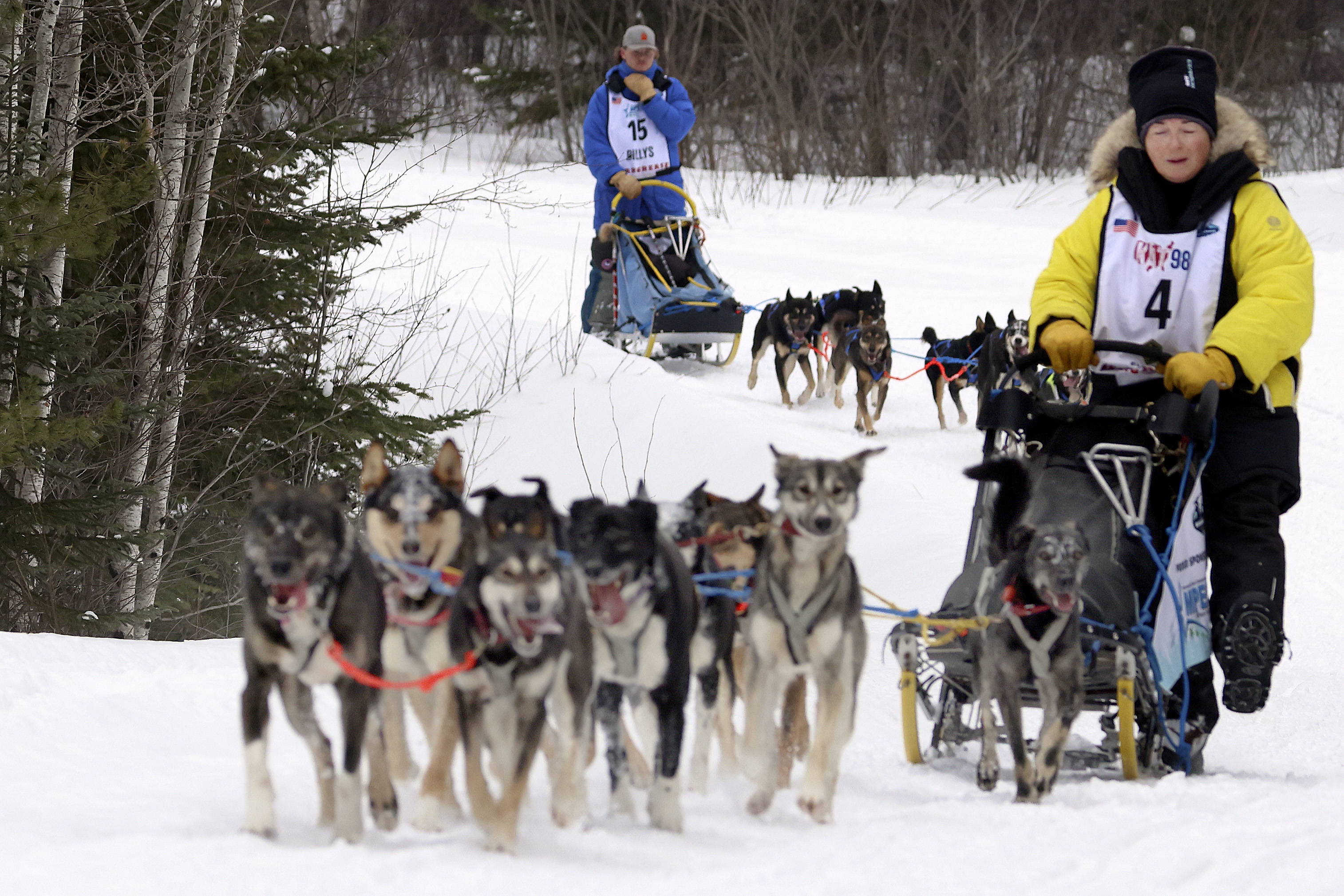 What to know about Beargrease 2023 - Vimarsana News