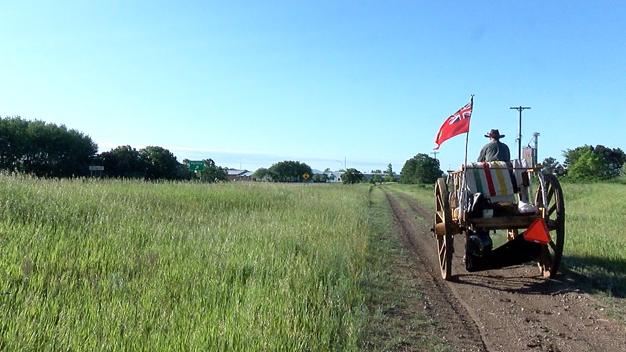 Winnipeg man and his ox retrace pioneer Red River Ox Cart Trail in Minnesota - Vimarsana News