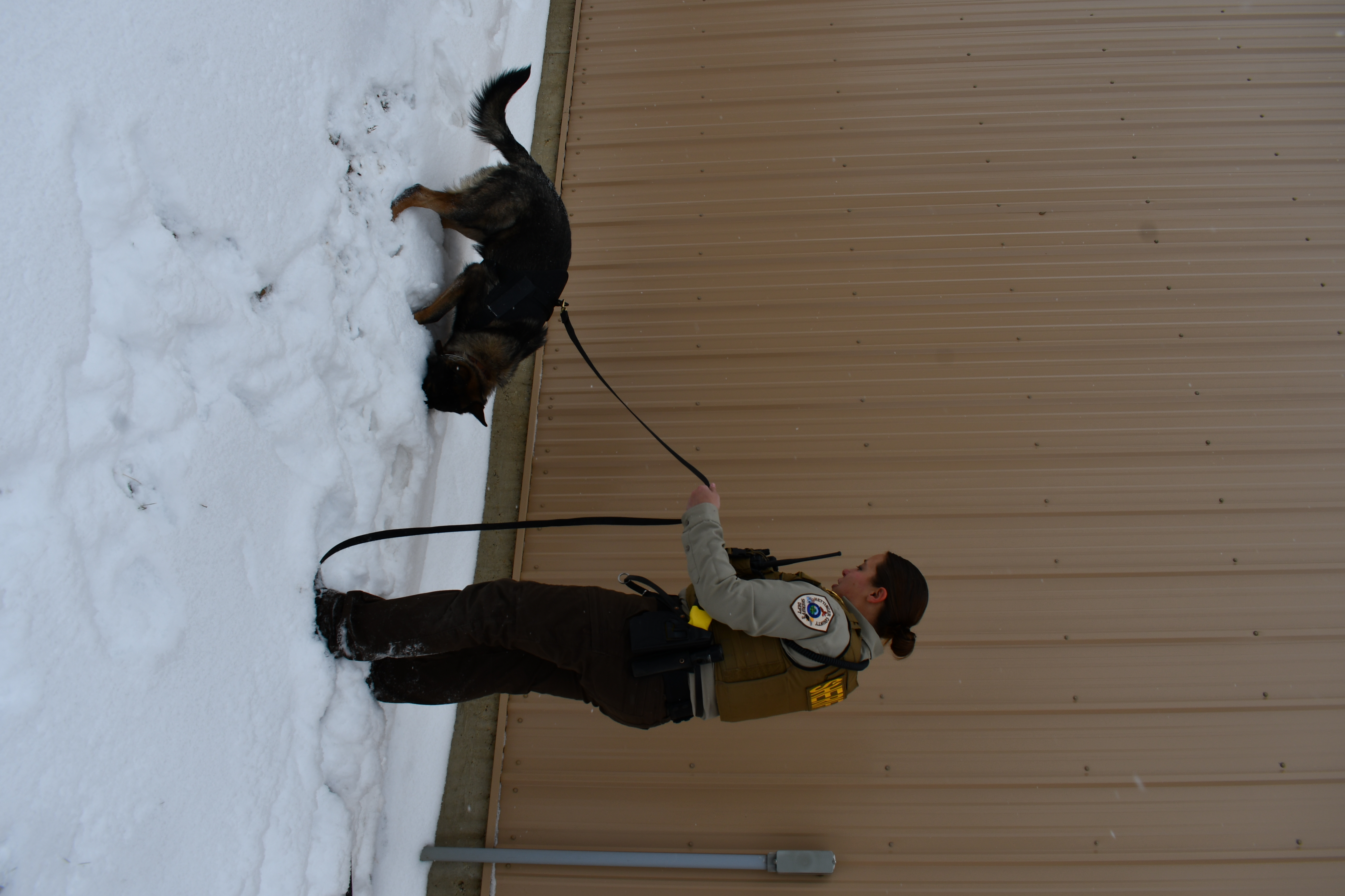 Hettinger County Sheriff canine program launched by generosity of citizens - Vimarsana News