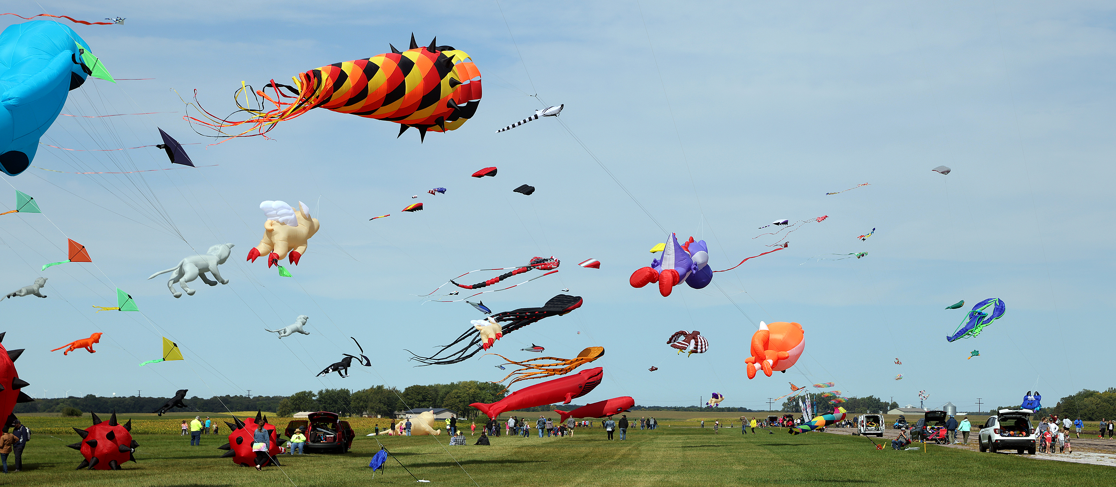 GALLERY + VIDEO: Flying pigs, whales and other objects take to the skies at the Prairie Winds Kite Fly - Vimarsana News