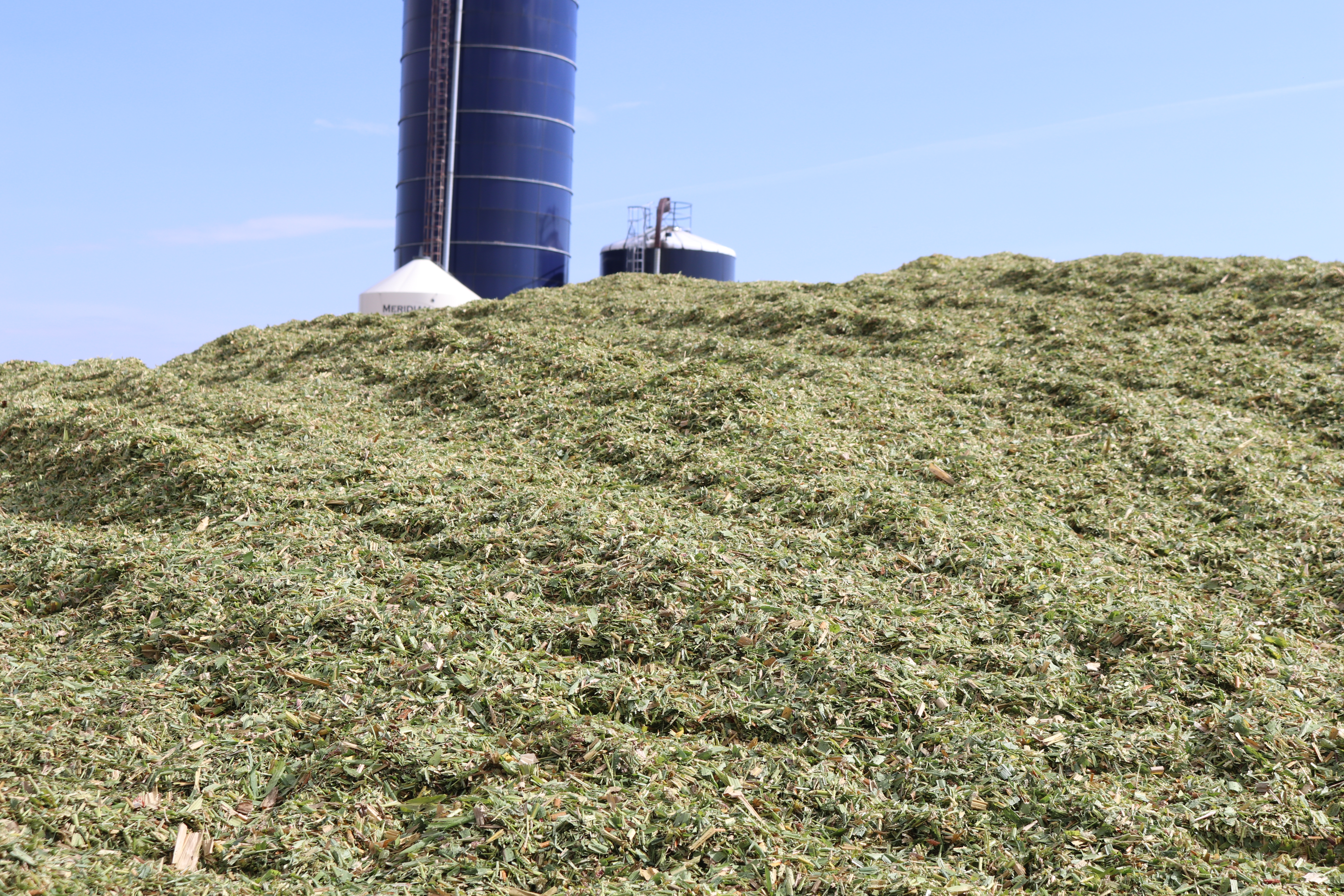 Manure, silage and other scents that take farm kids home - Vimarsana News